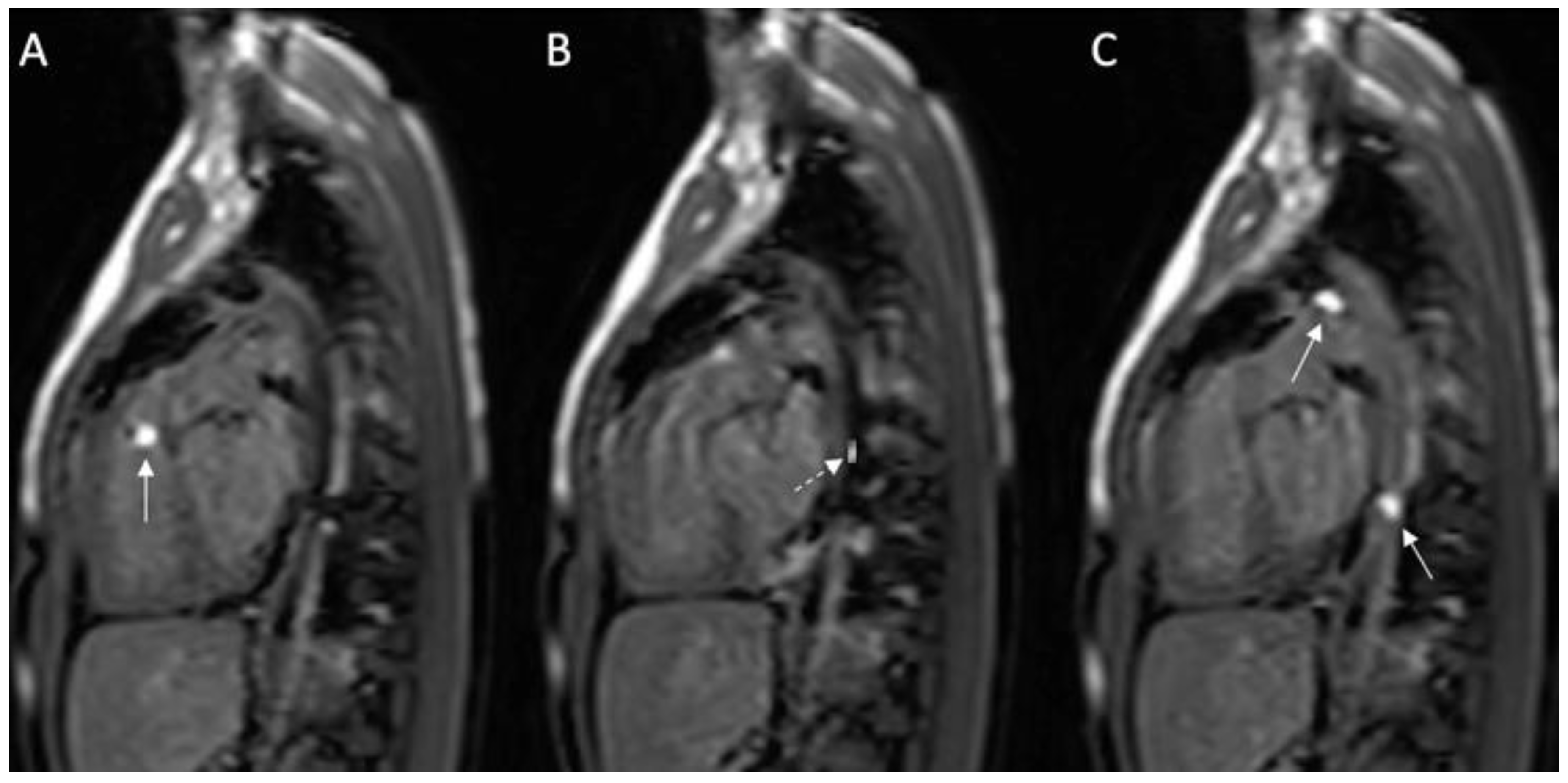 Medicina 56 00636 g004 Medicina 56 00636 g004