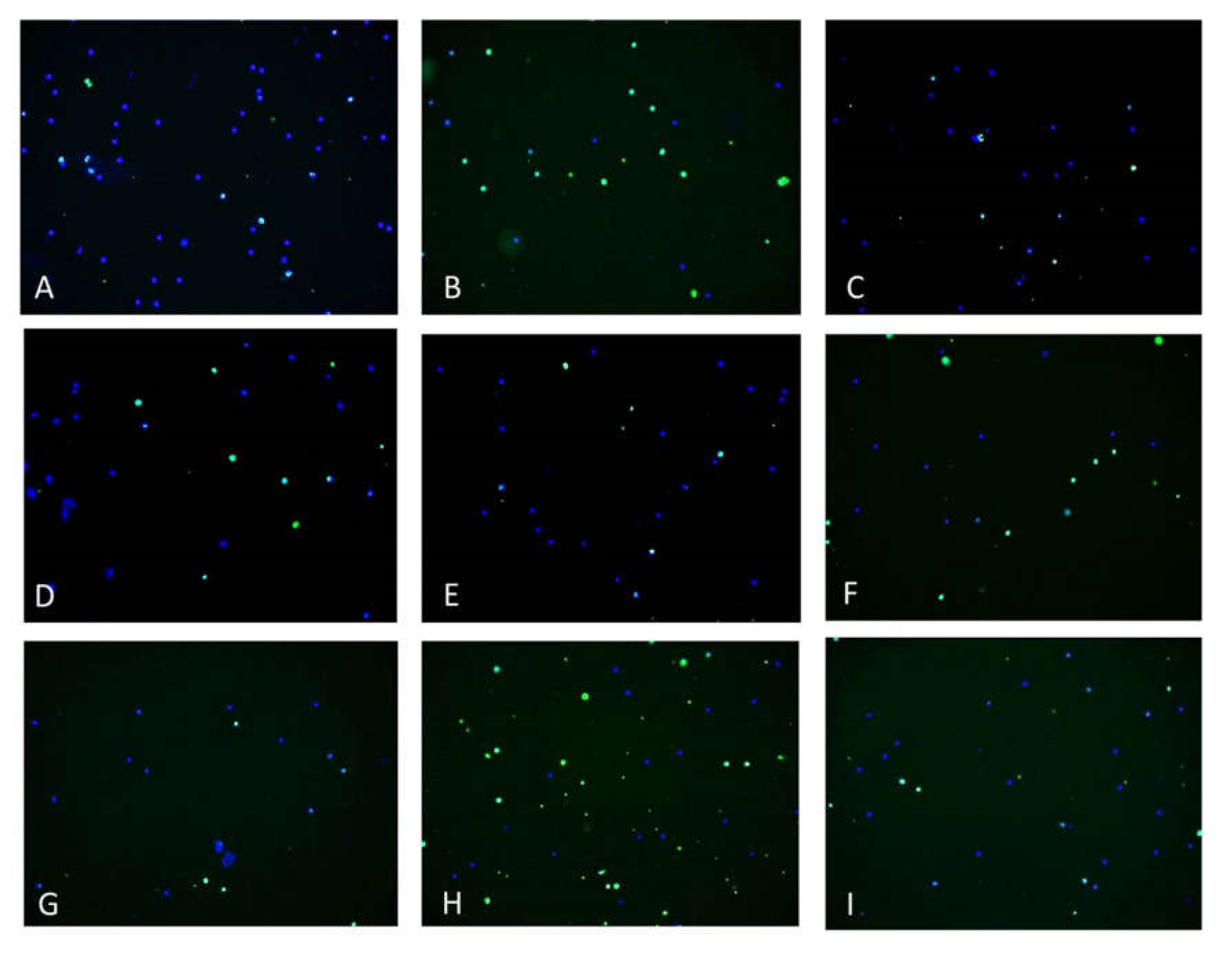 Medicina 56 00663 g007