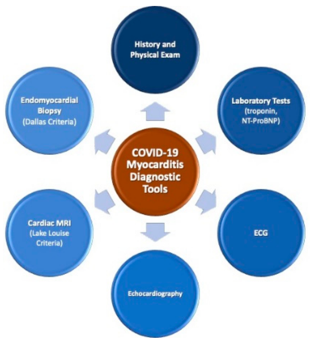 Medicina 56 00678 g001