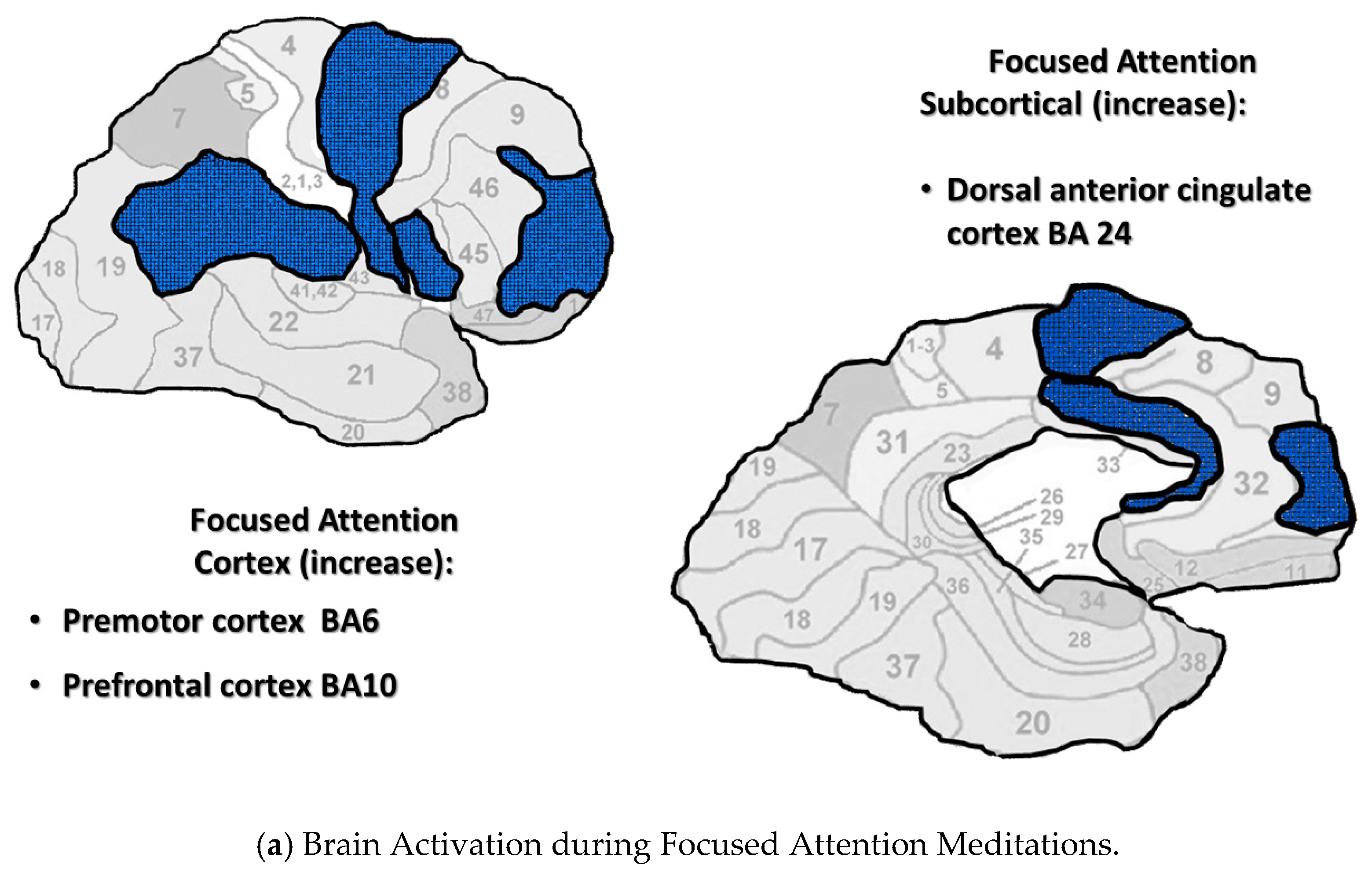 Medicina 56 00712 g001a