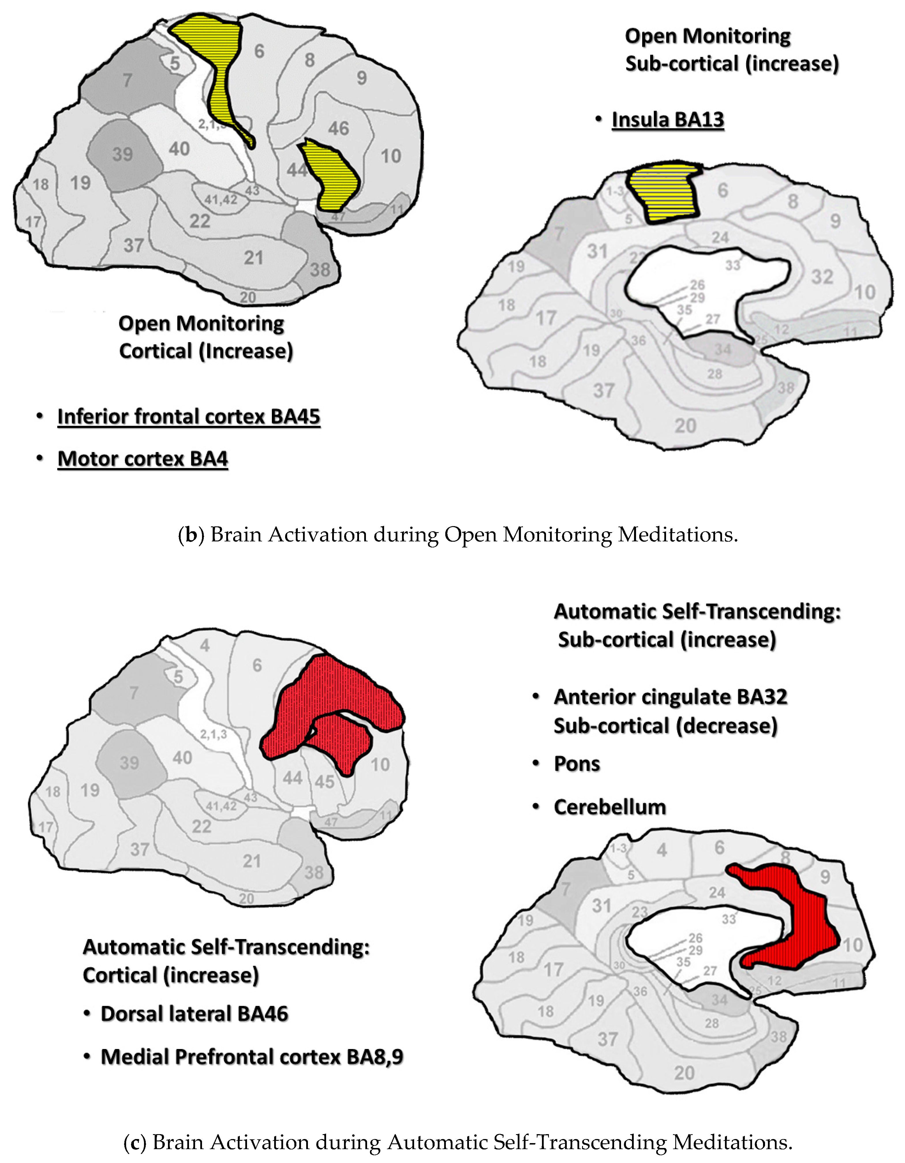 Medicina 56 00712 g001b