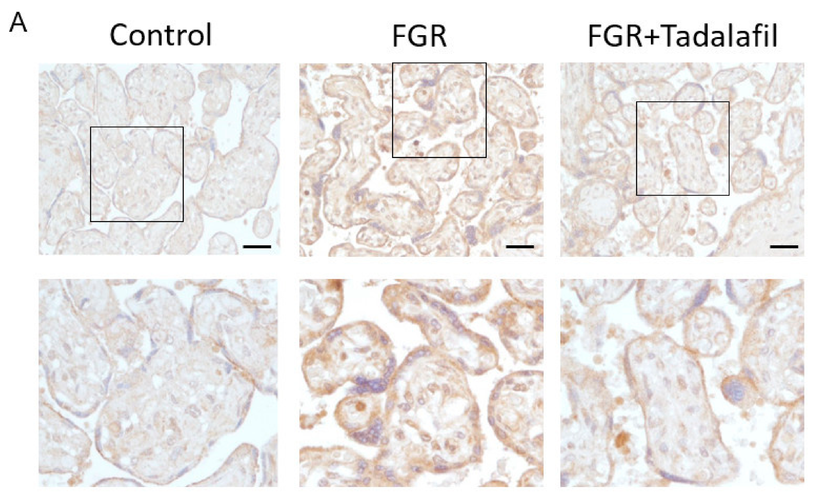 Medicina 56 00722 g001a