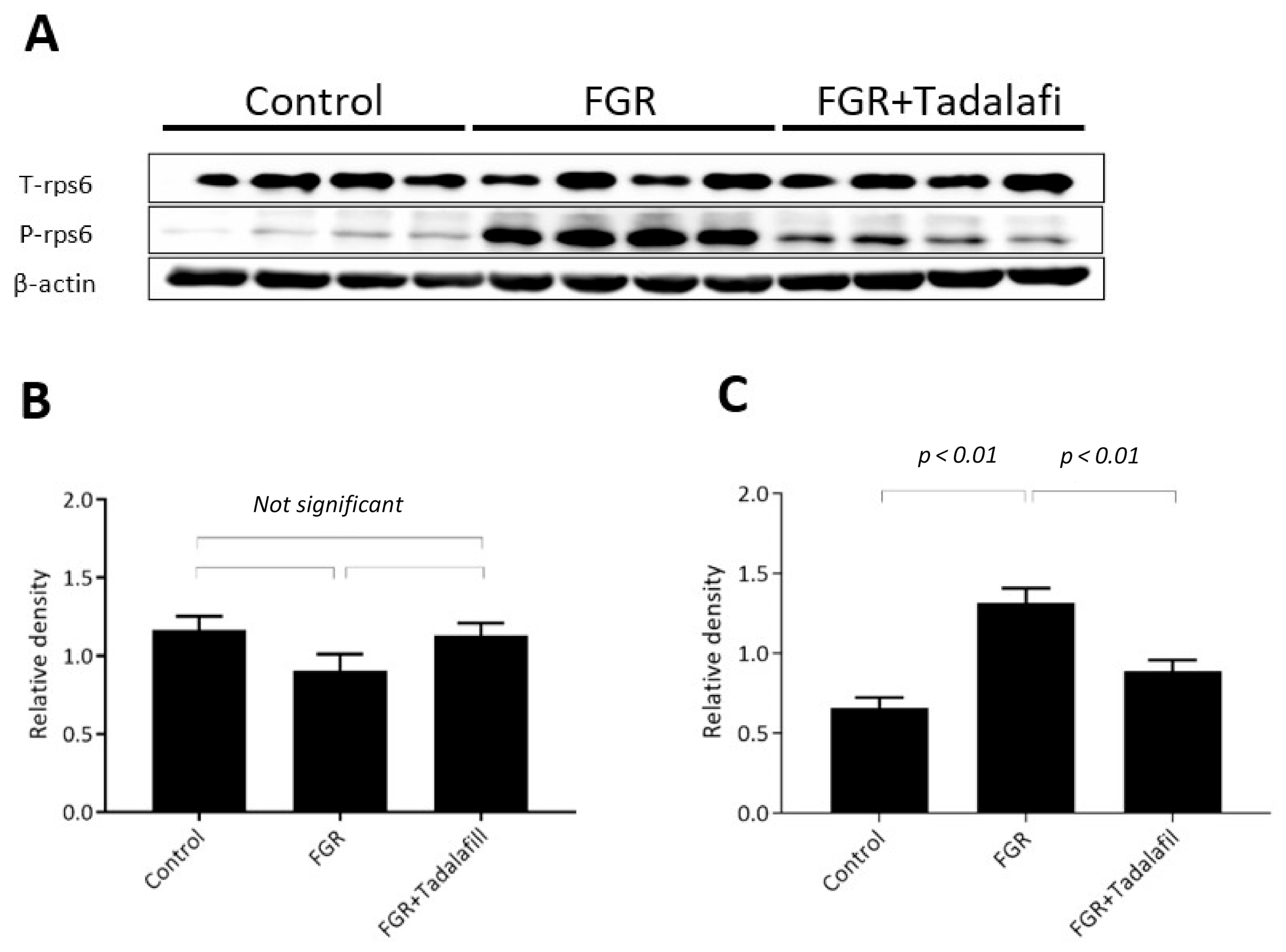 Medicina 56 00722 g003