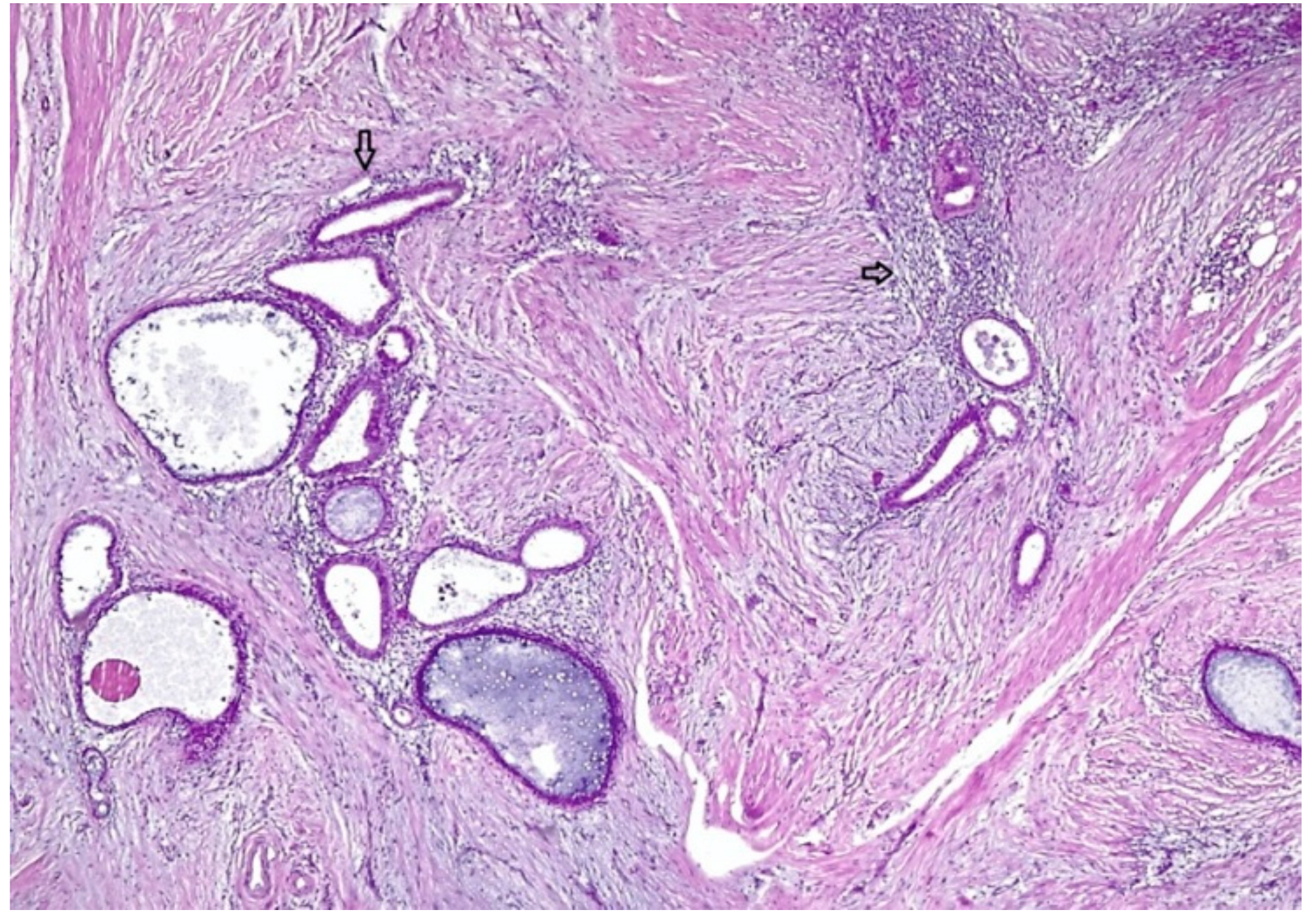Medicina 56 00727 g002