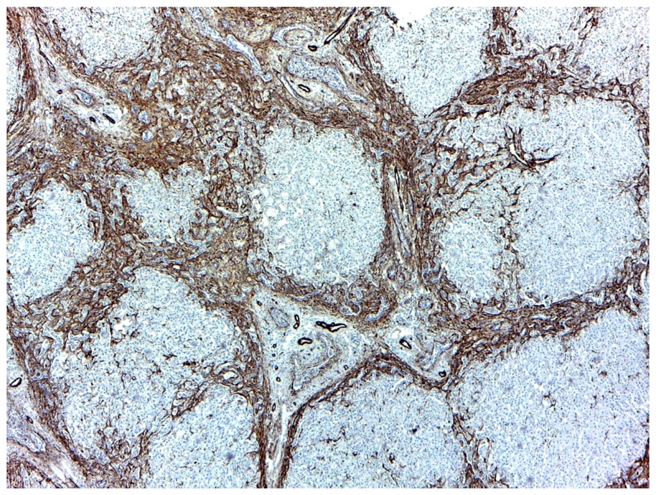 Medicina 57 00016 g002