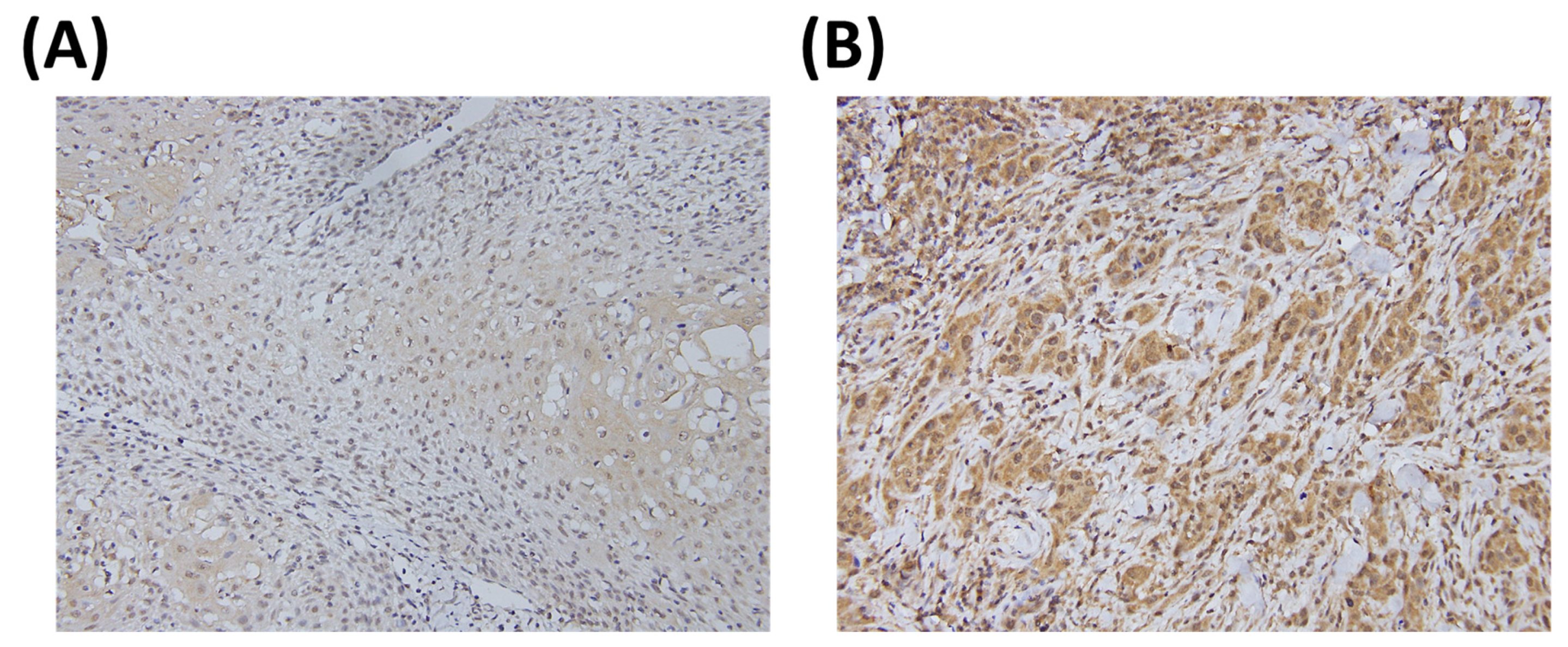 Medicina 57 00017 g001