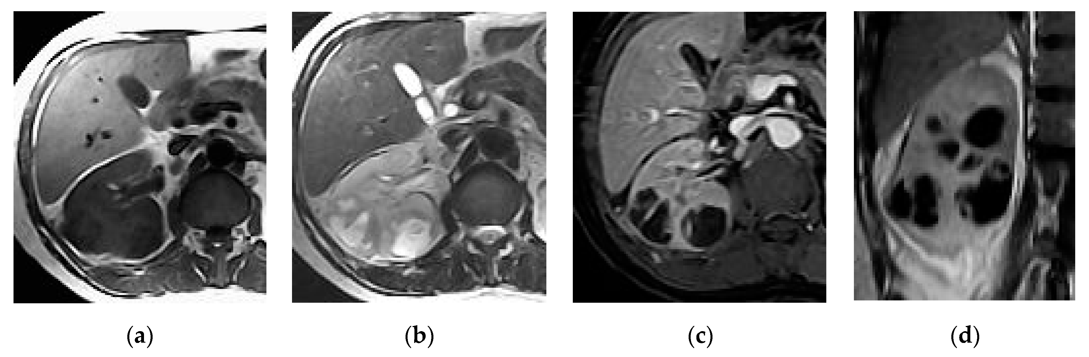 Medicina 57 00032 g008