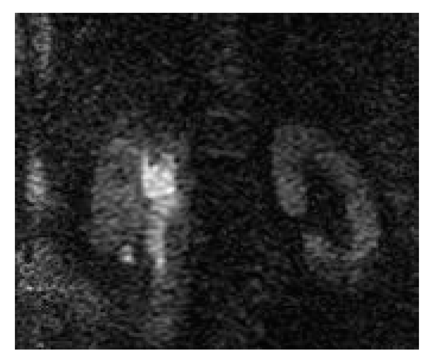 Medicina 57 00032 g009