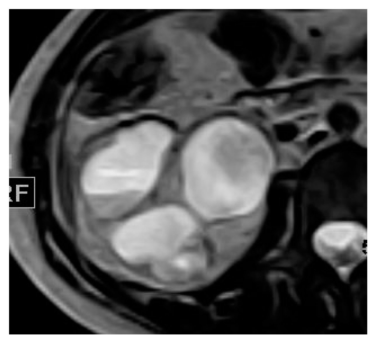Medicina 57 00032 g010