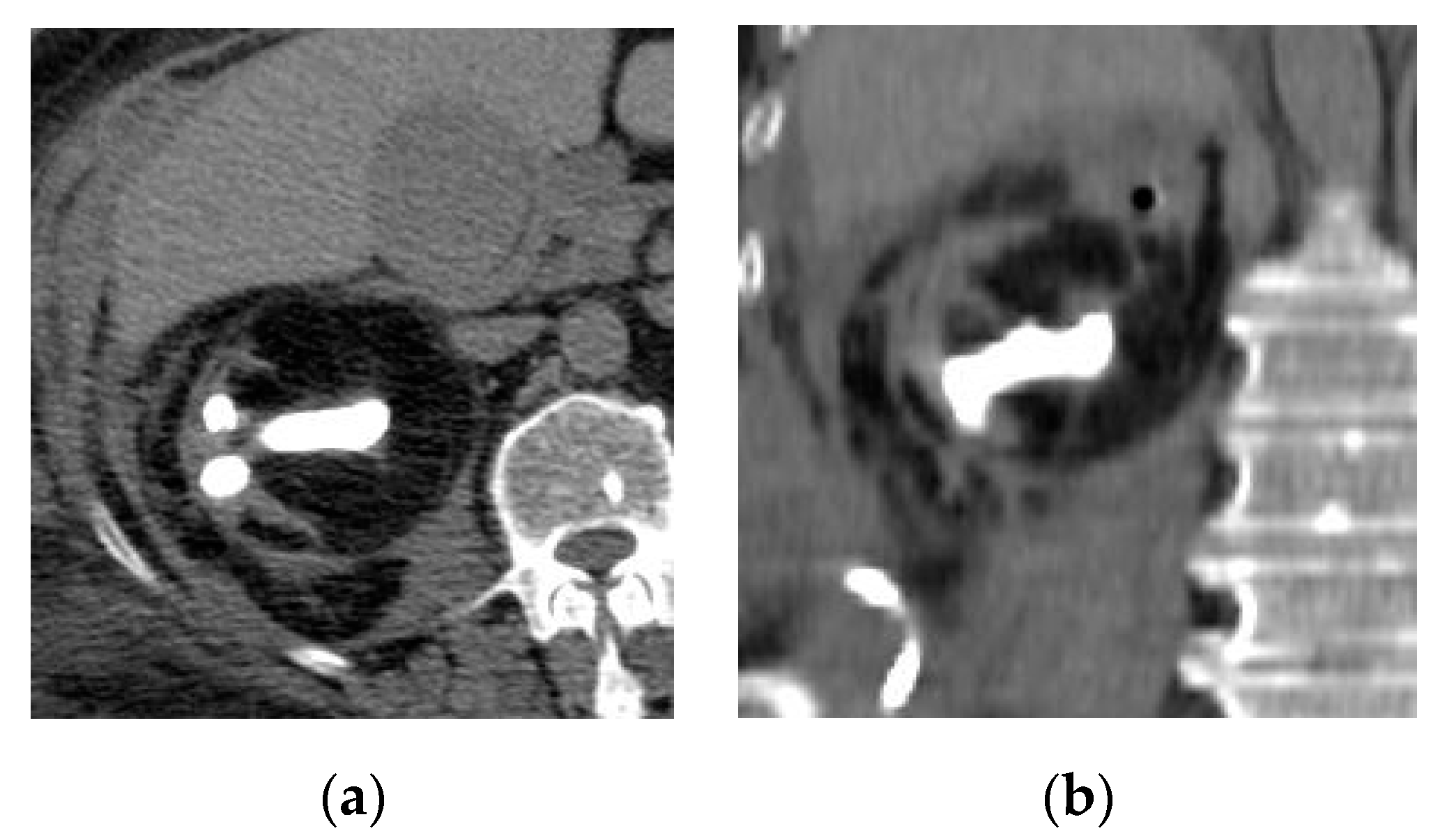Medicina 57 00032 g013