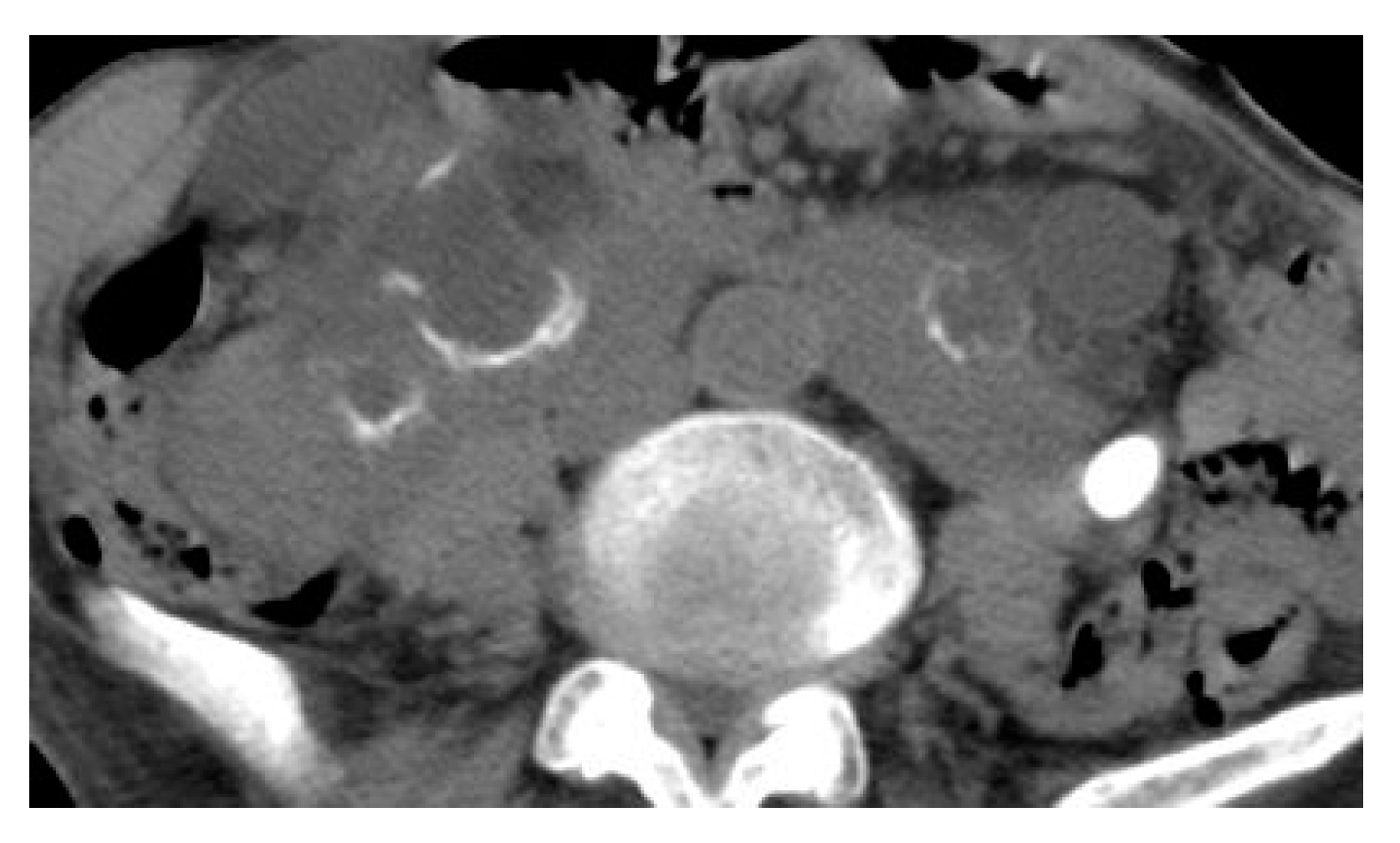 Medicina 57 00032 g019