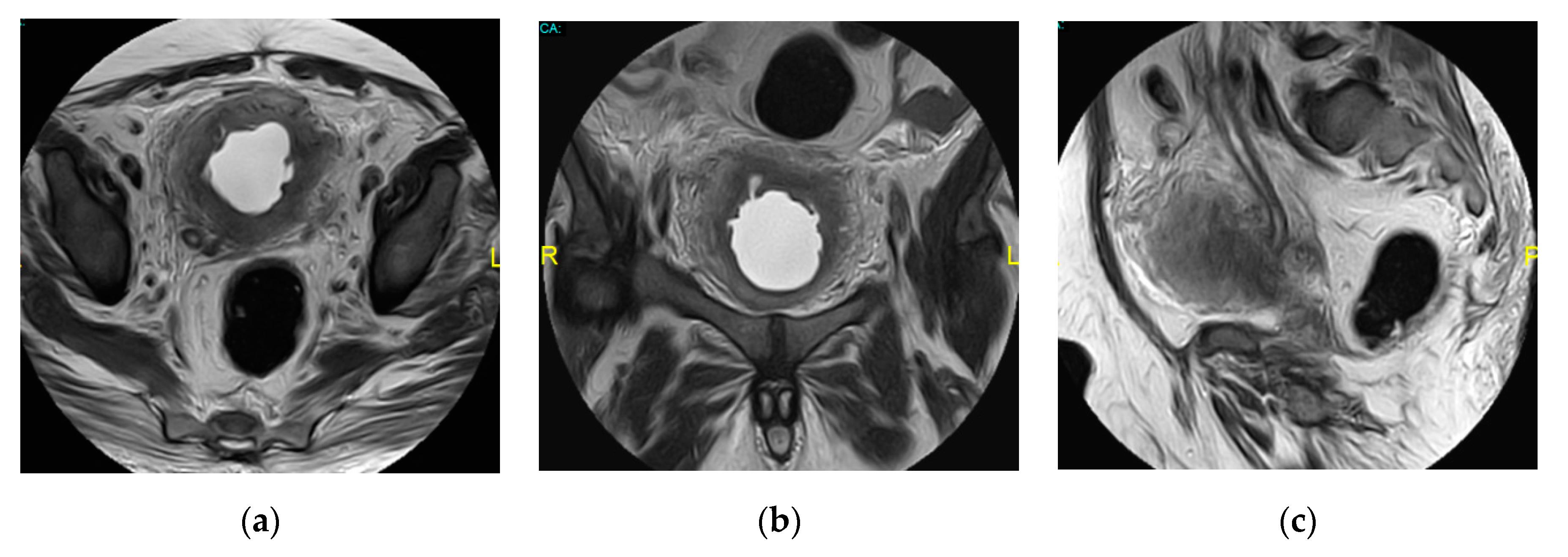 Medicina 57 00032 g021