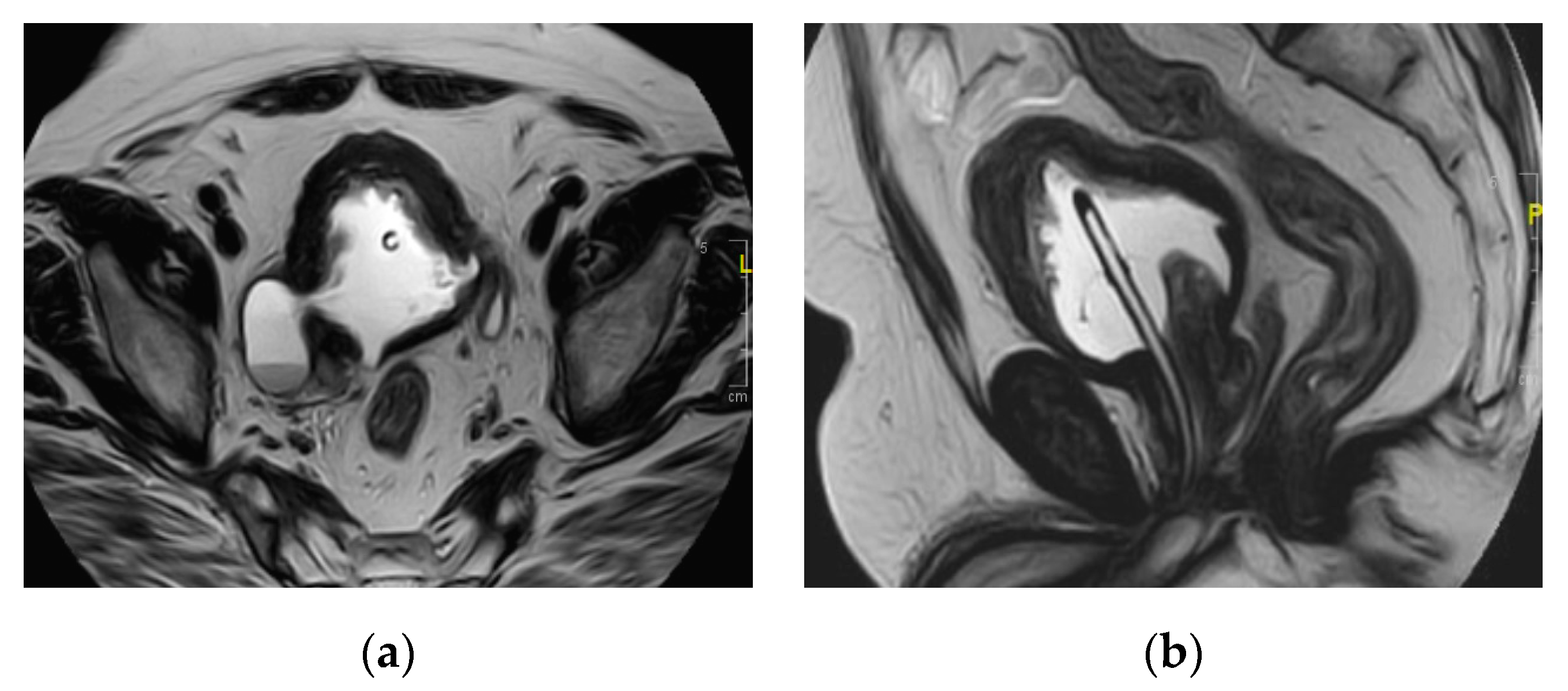 Medicina 57 00032 g022