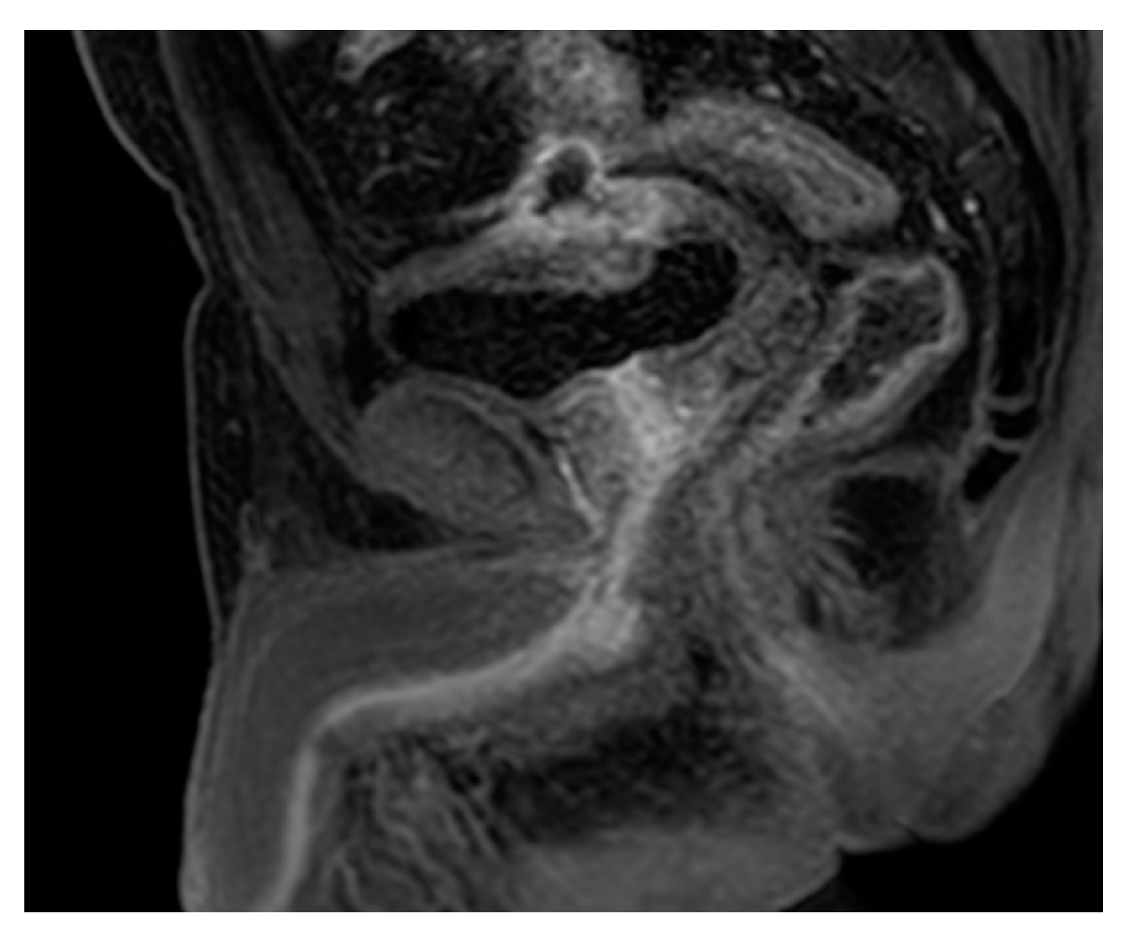 Medicina 57 00032 g028