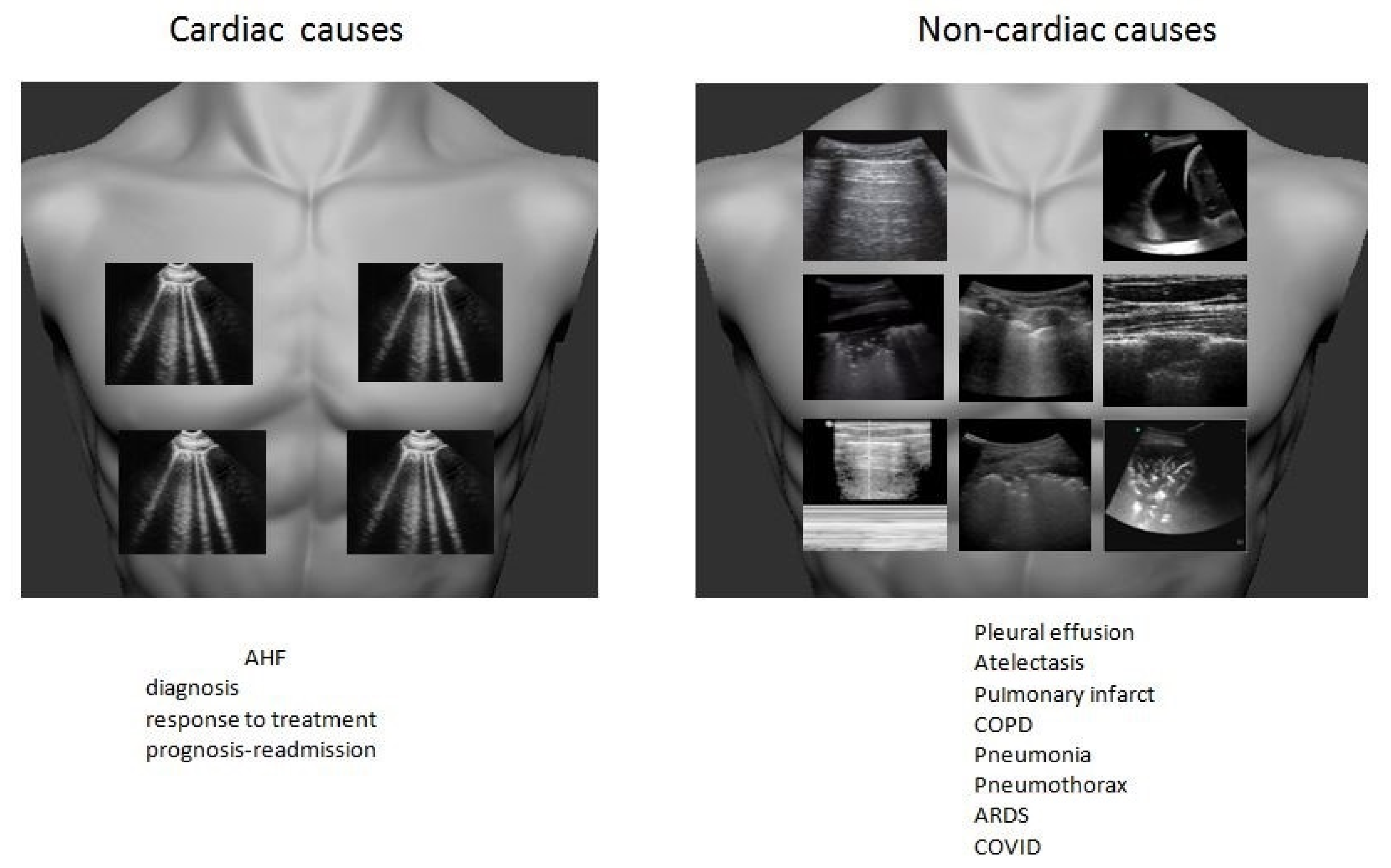 Medicina 57 00069 g001