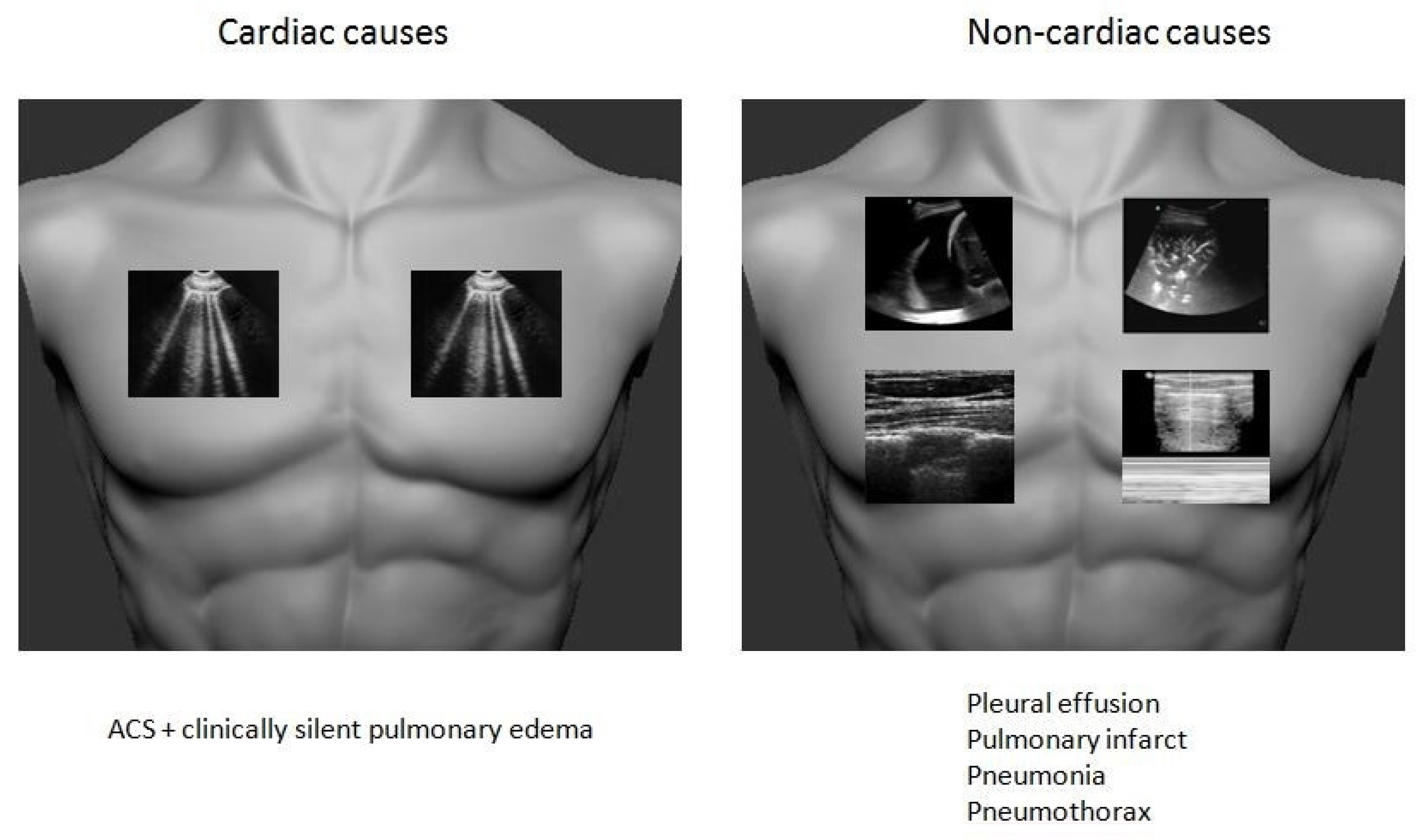Medicina 57 00069 g003