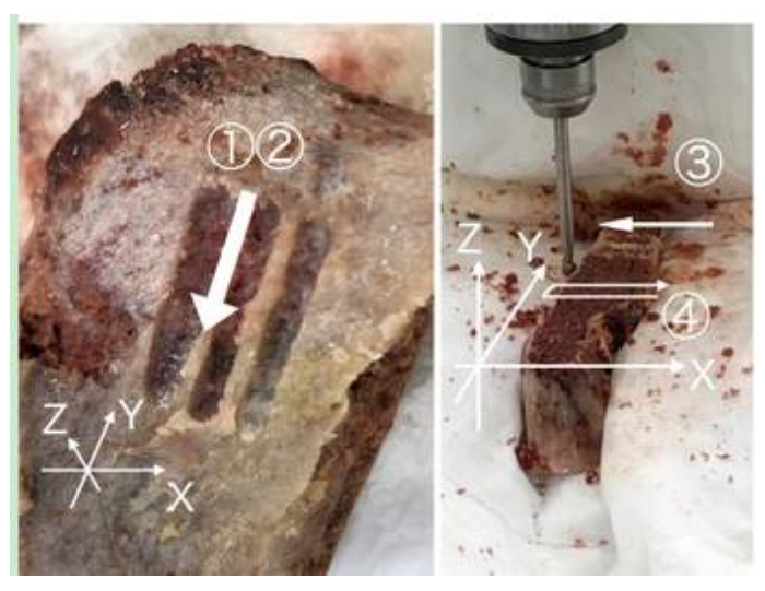 Medicina 57 00071 g001