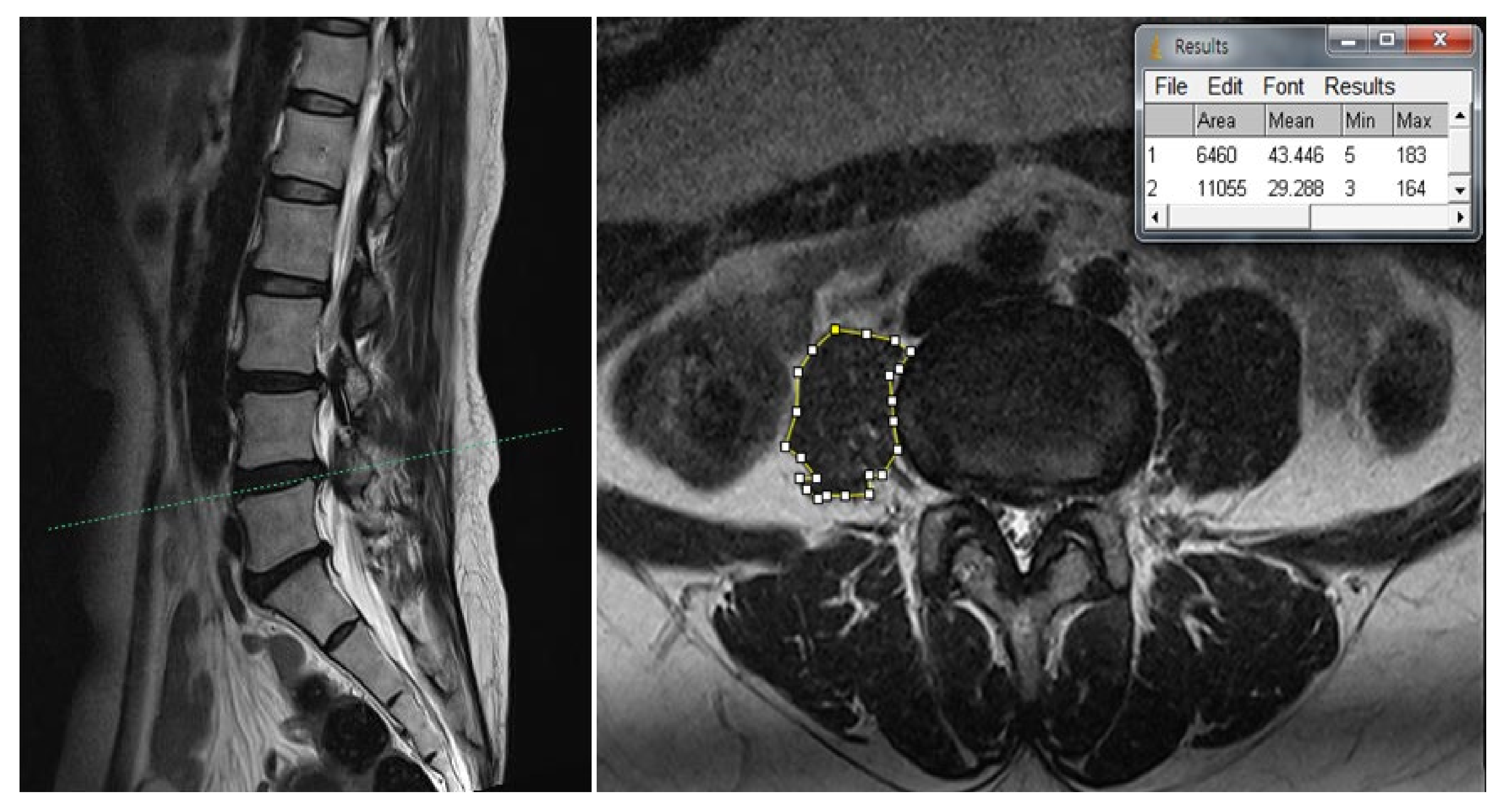 Medicina 57 00073 g002
