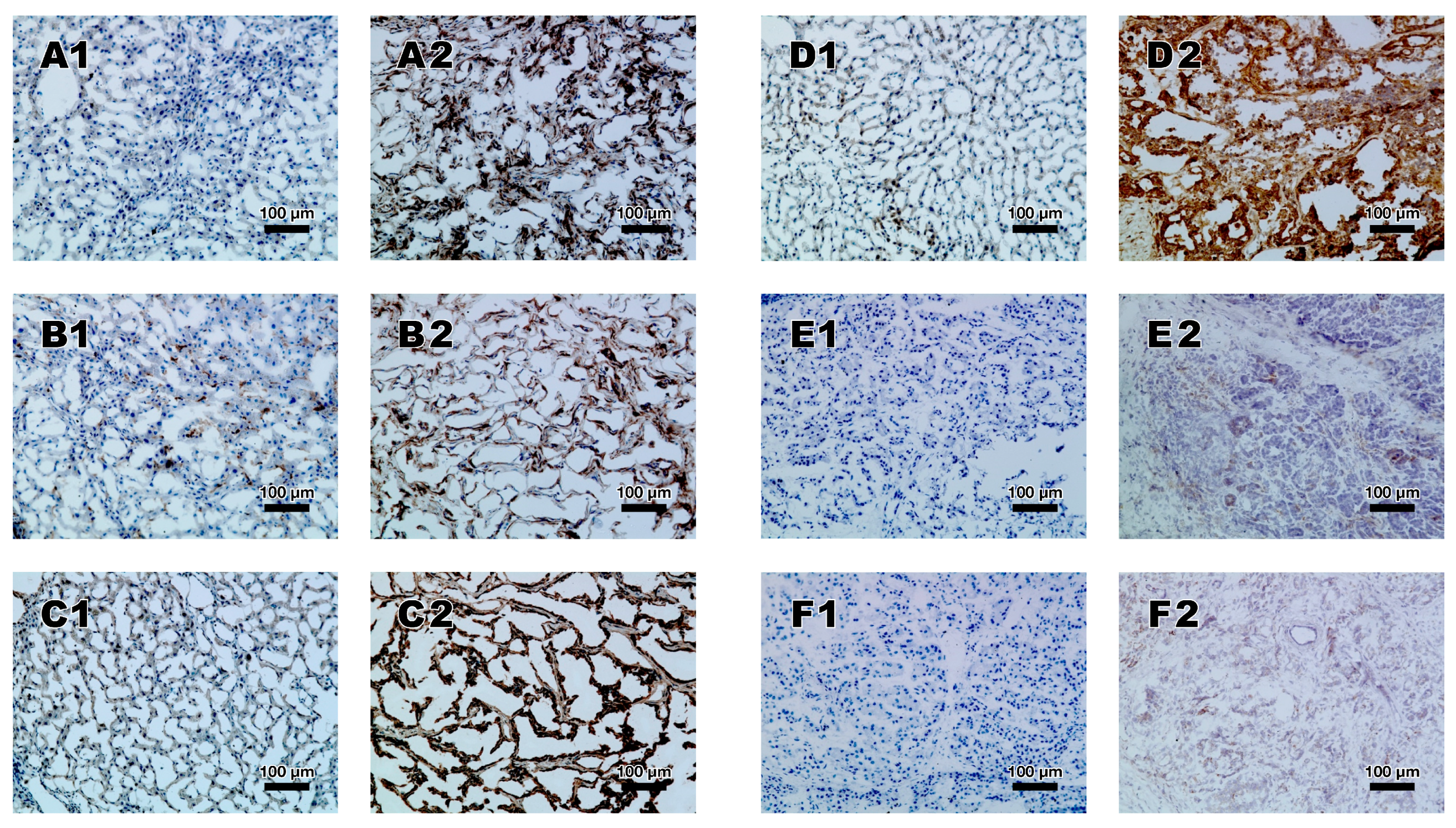 Medicina 57 00105 g001