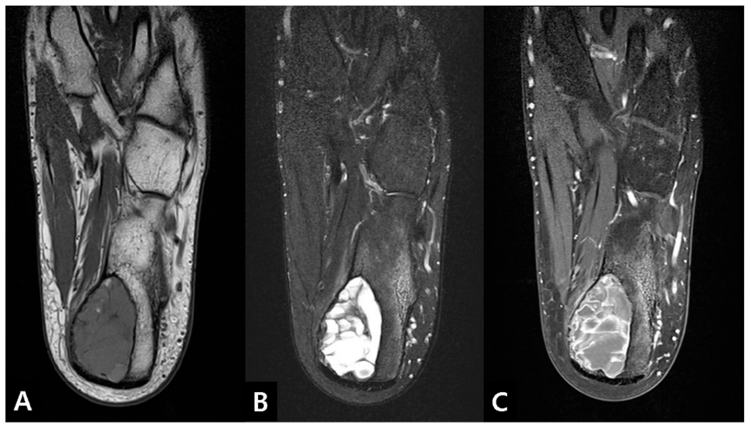 Medicina 57 00111 g003