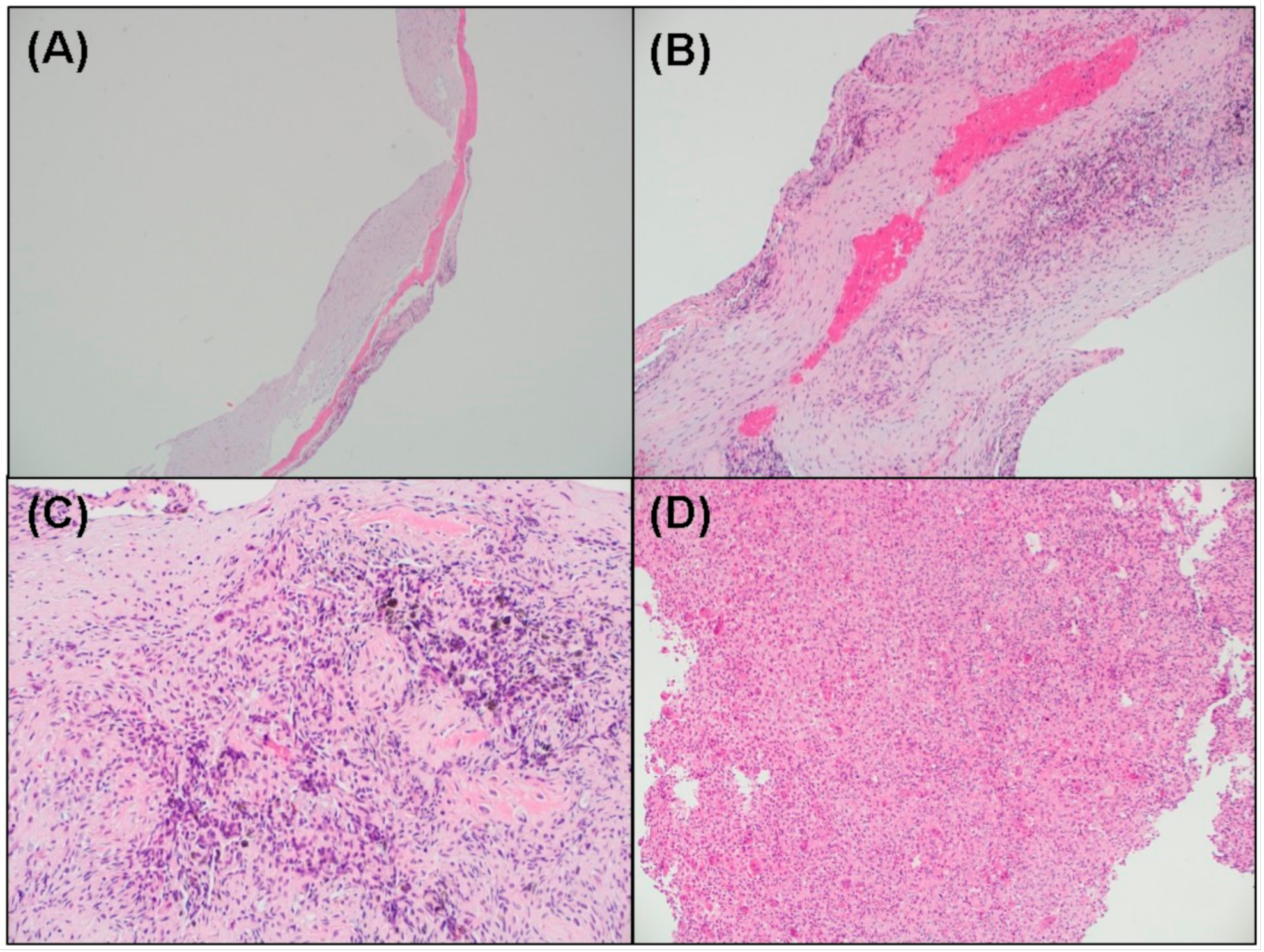 Medicina 57 00111 g009