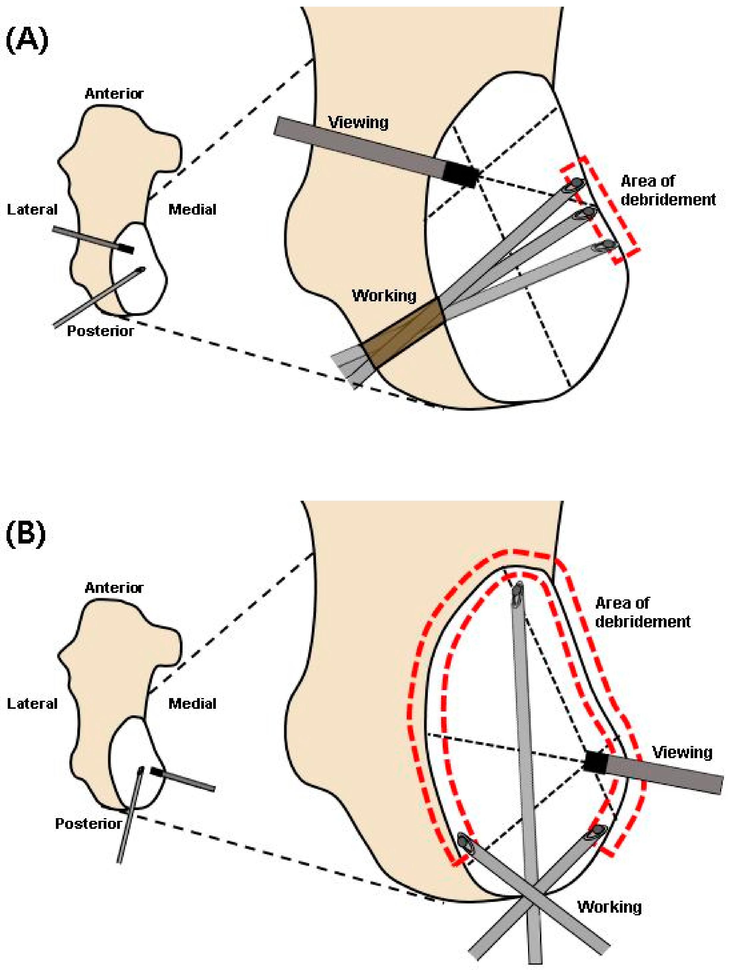 Medicina 57 00111 g011