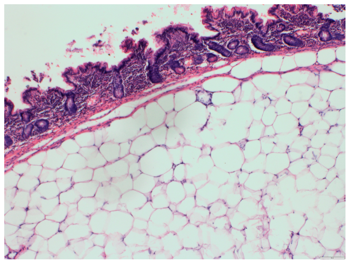 Medicina 57 00116 g007