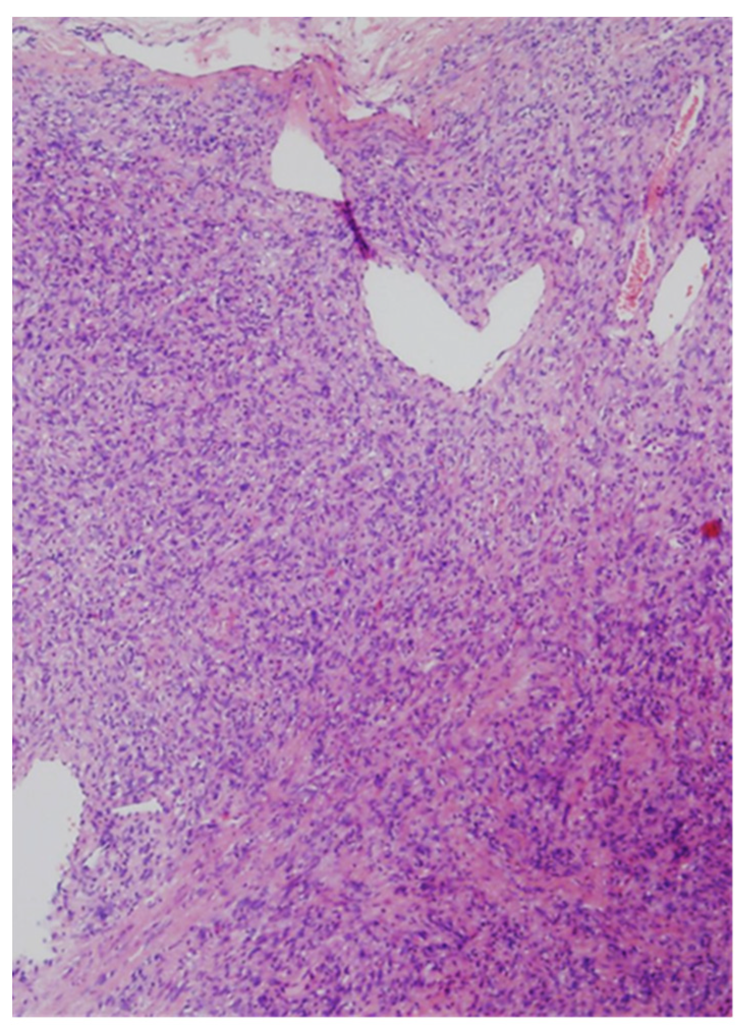 Medicina 57 00152 g003