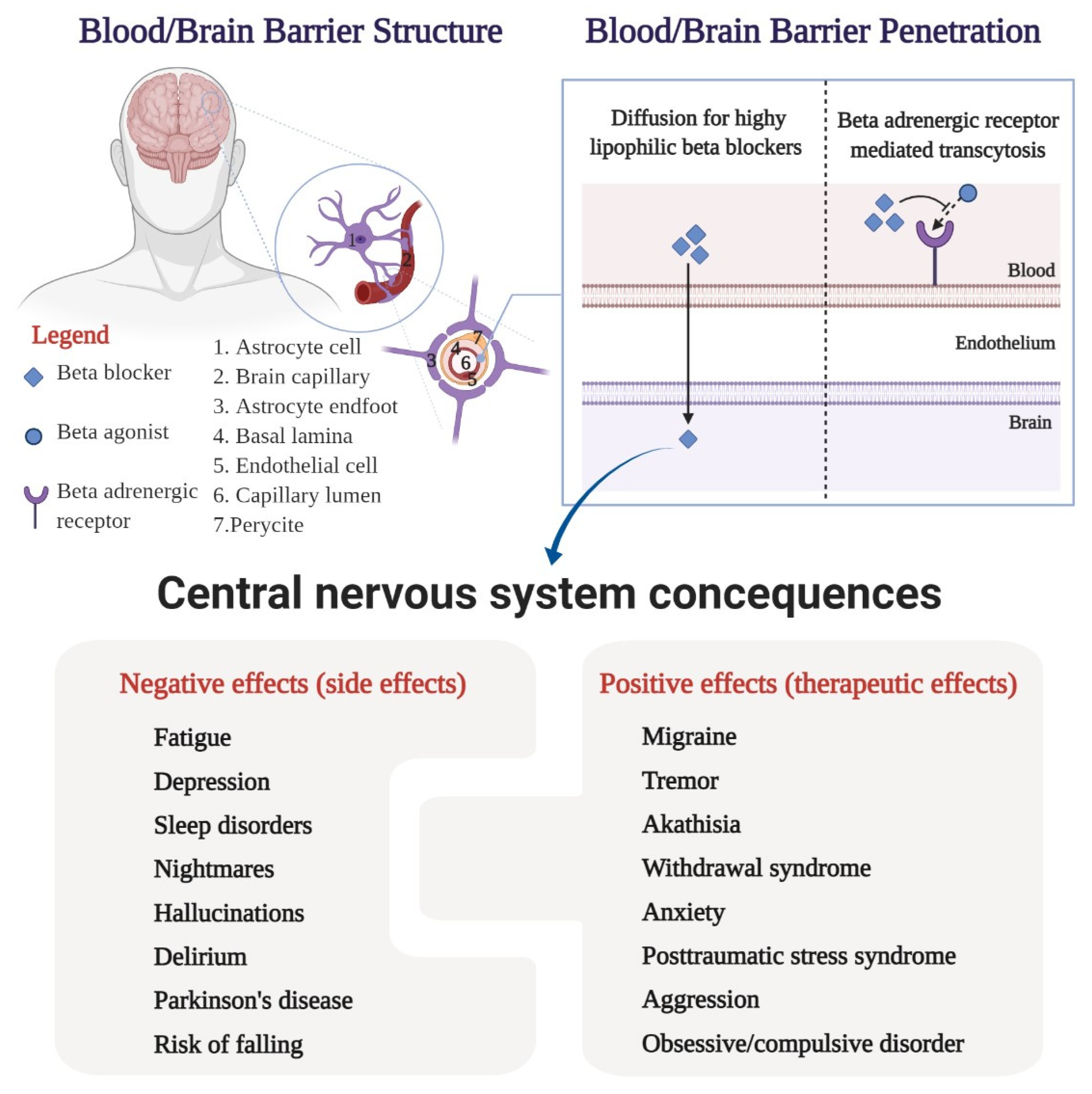 Medicina 57 00155 g002