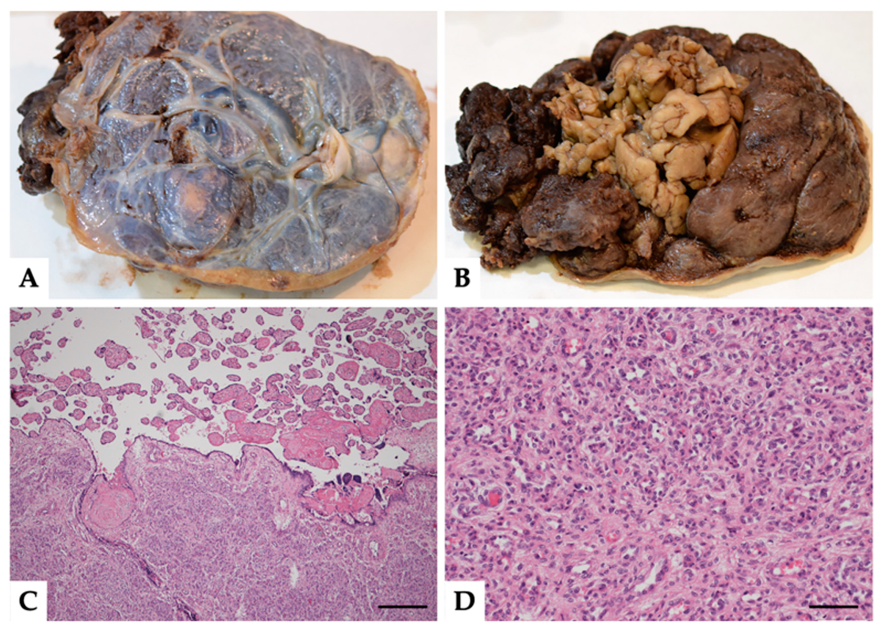Medicina 57 00162 g001