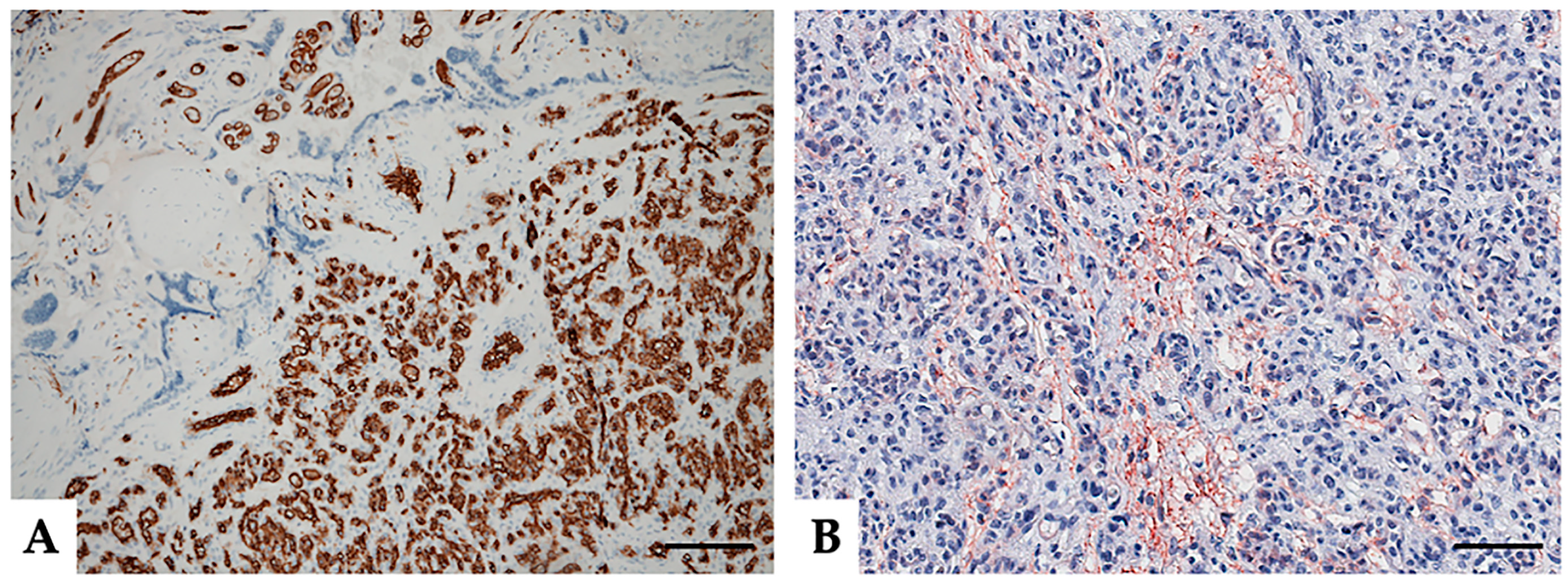 Medicina 57 00162 g002a