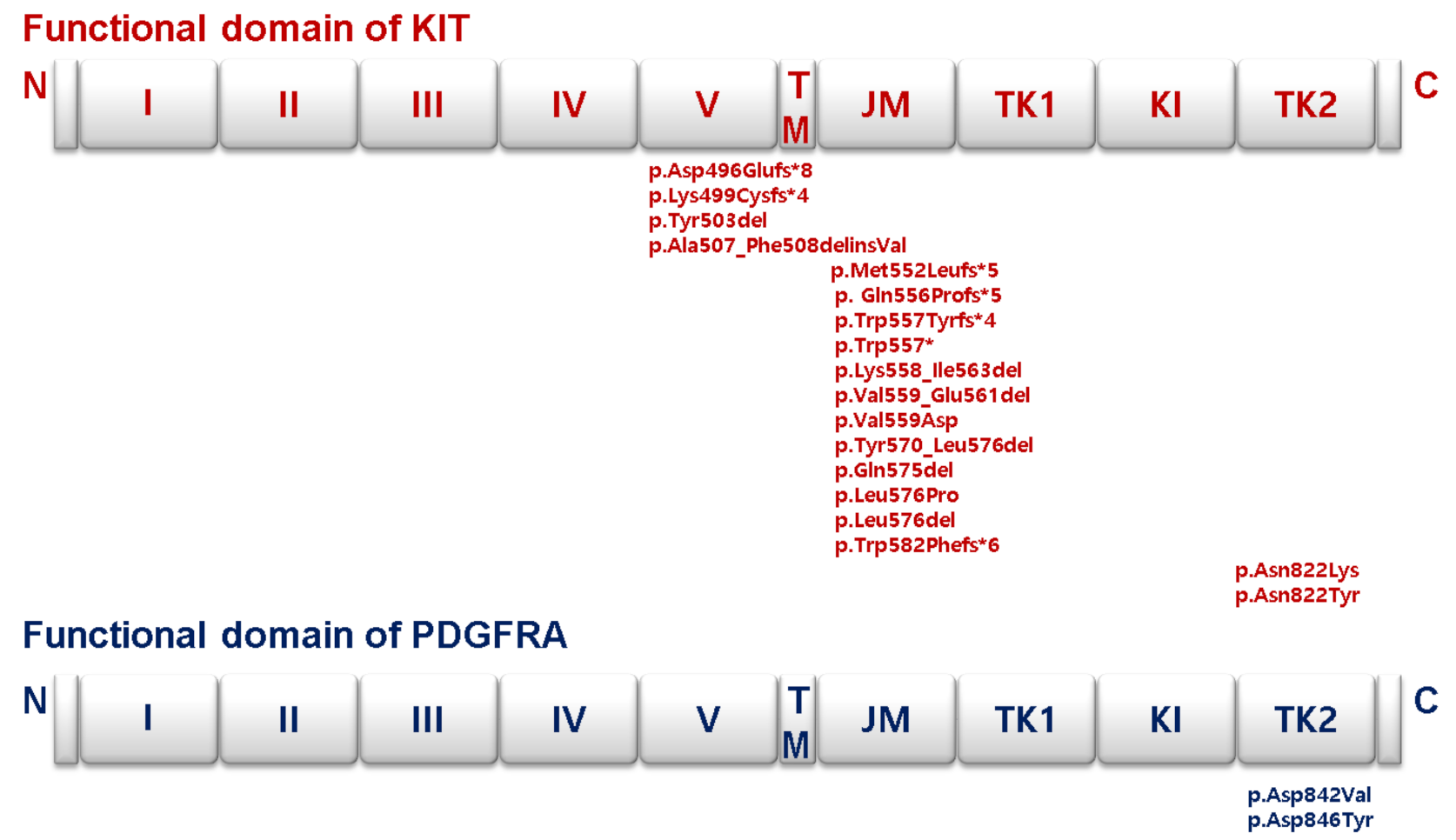 Medicina 57 00174 g003
