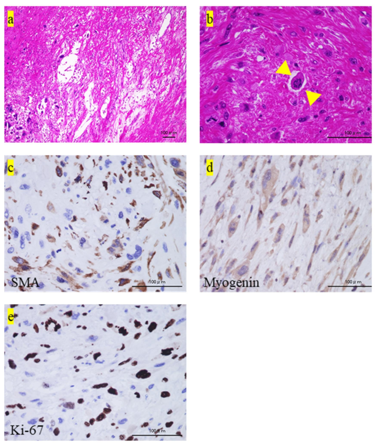 Medicina 57 00175 g002