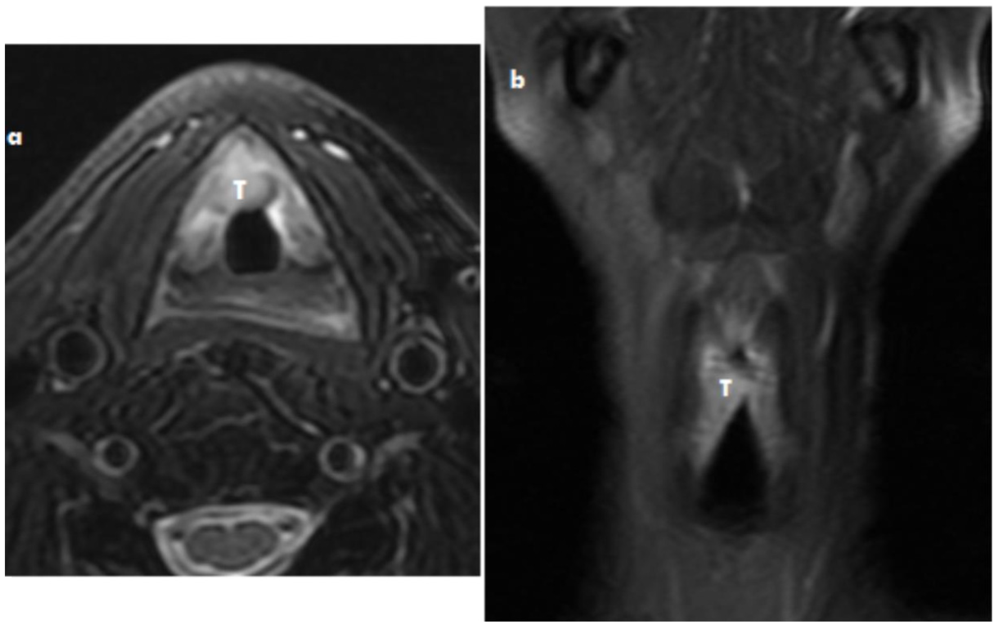 Medicina 57 00192 g001