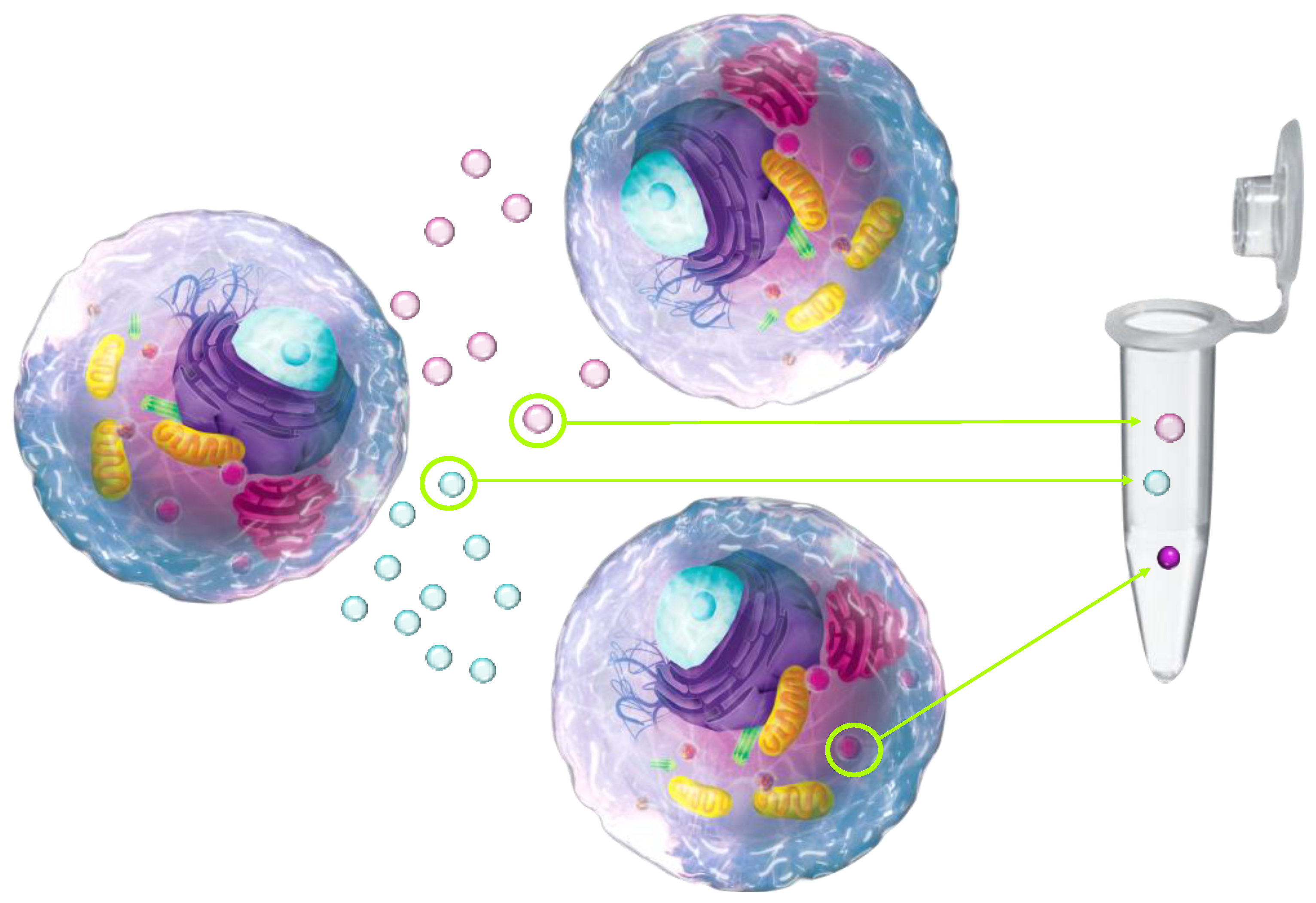 Medicina 57 00233 g001