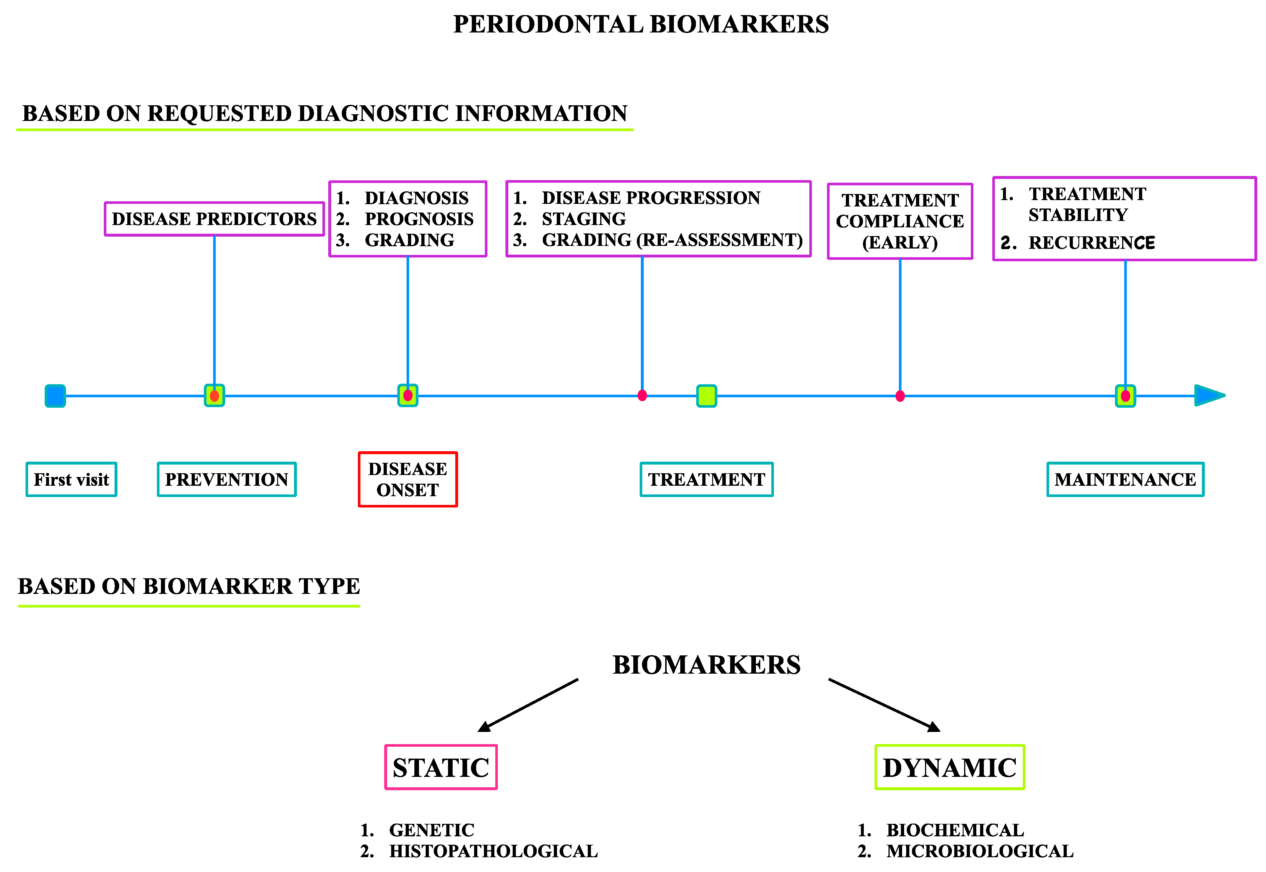 Medicina 57 00233 g002