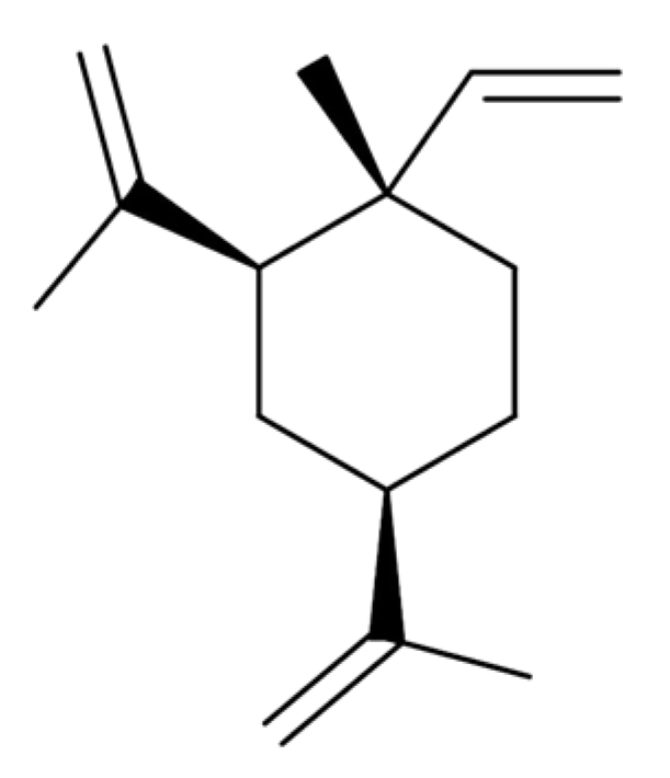 Medicina 57 00266 g002