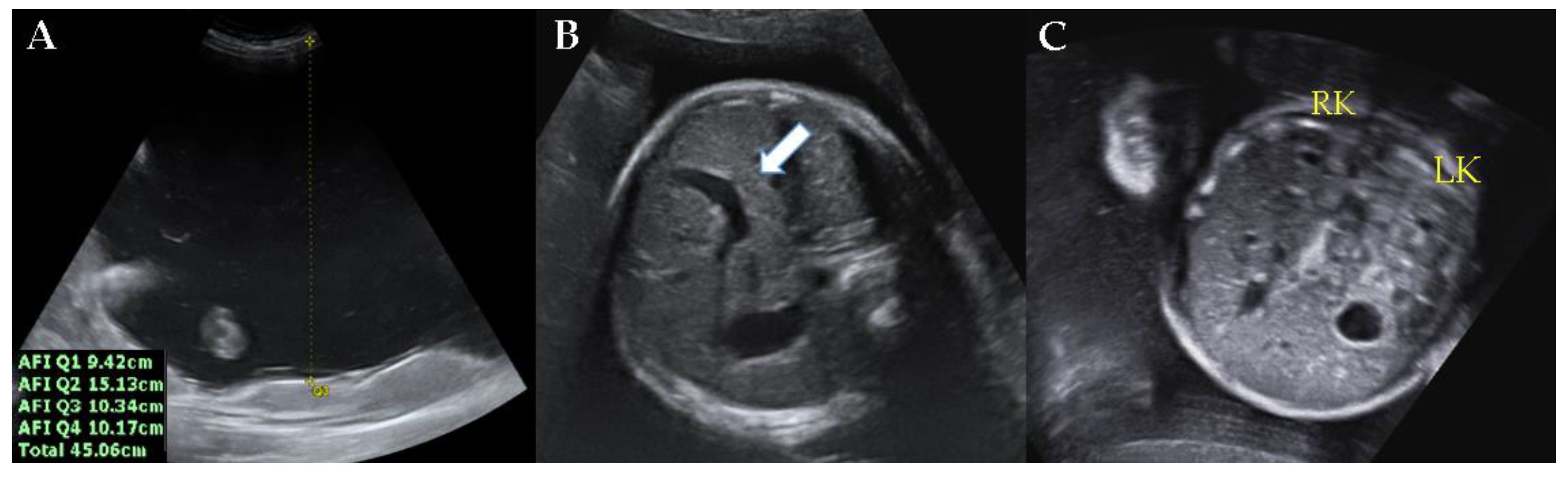 Medicina 57 00272 g001