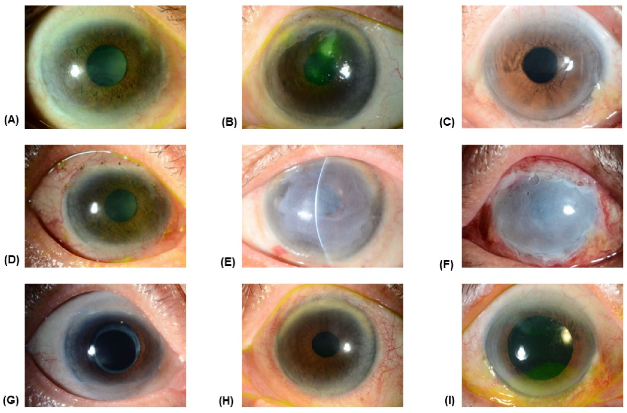 Medicina 57 00369 g002