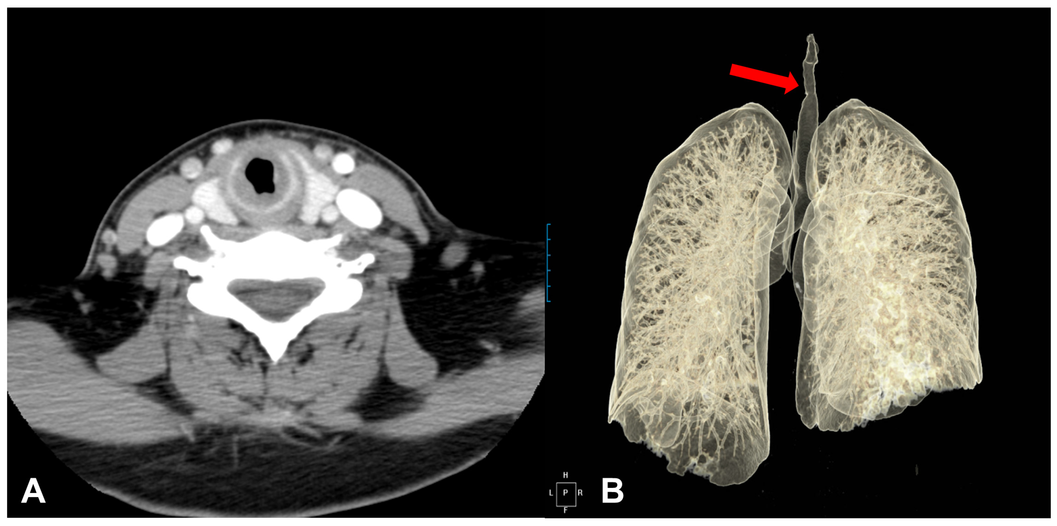 Medicina 57 00423 g001