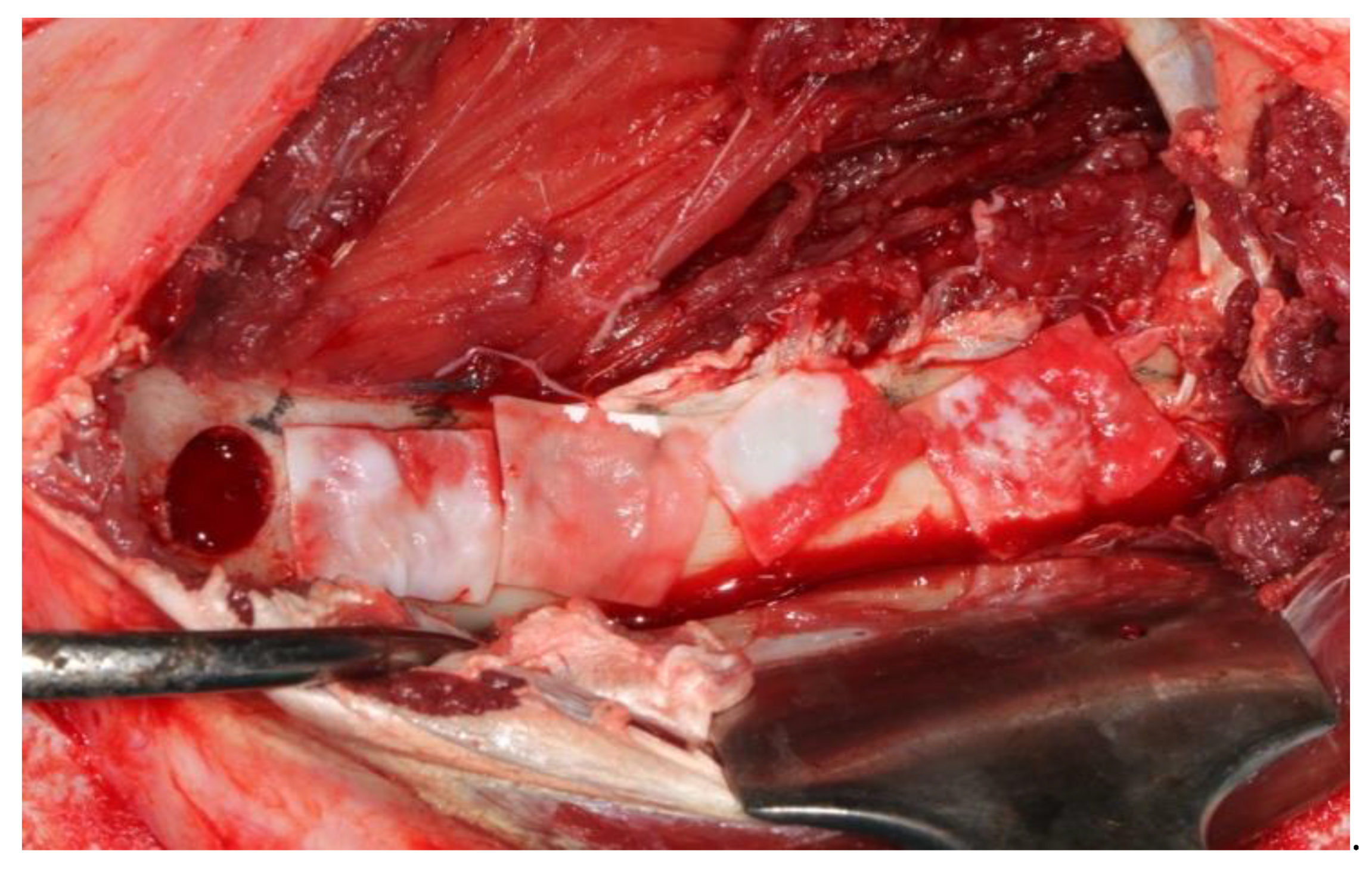 Medicina 57 00430 g003 Medicina 57 00430 g003