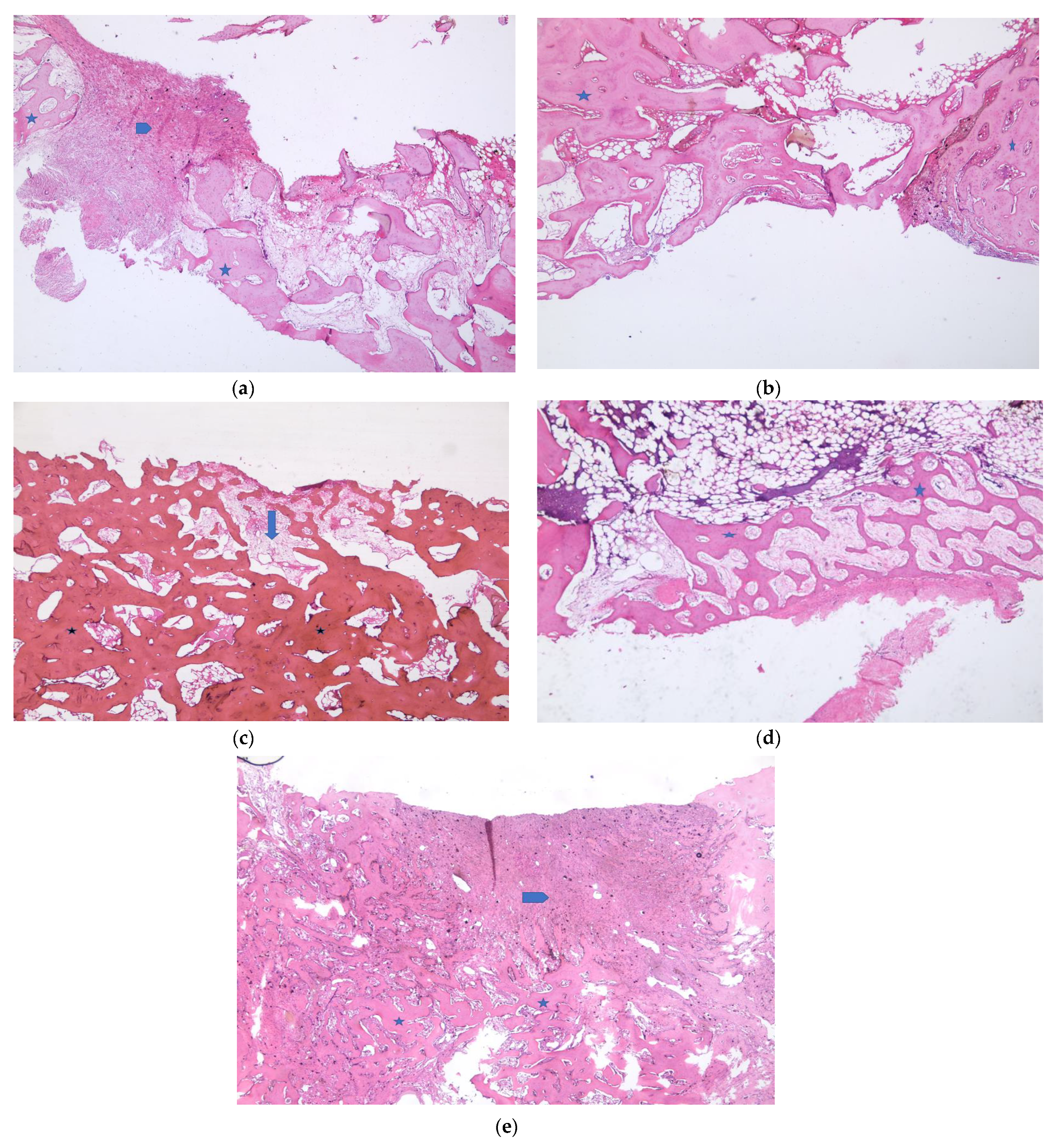 Medicina 57 00430 g006 Medicina 57 00430 g006