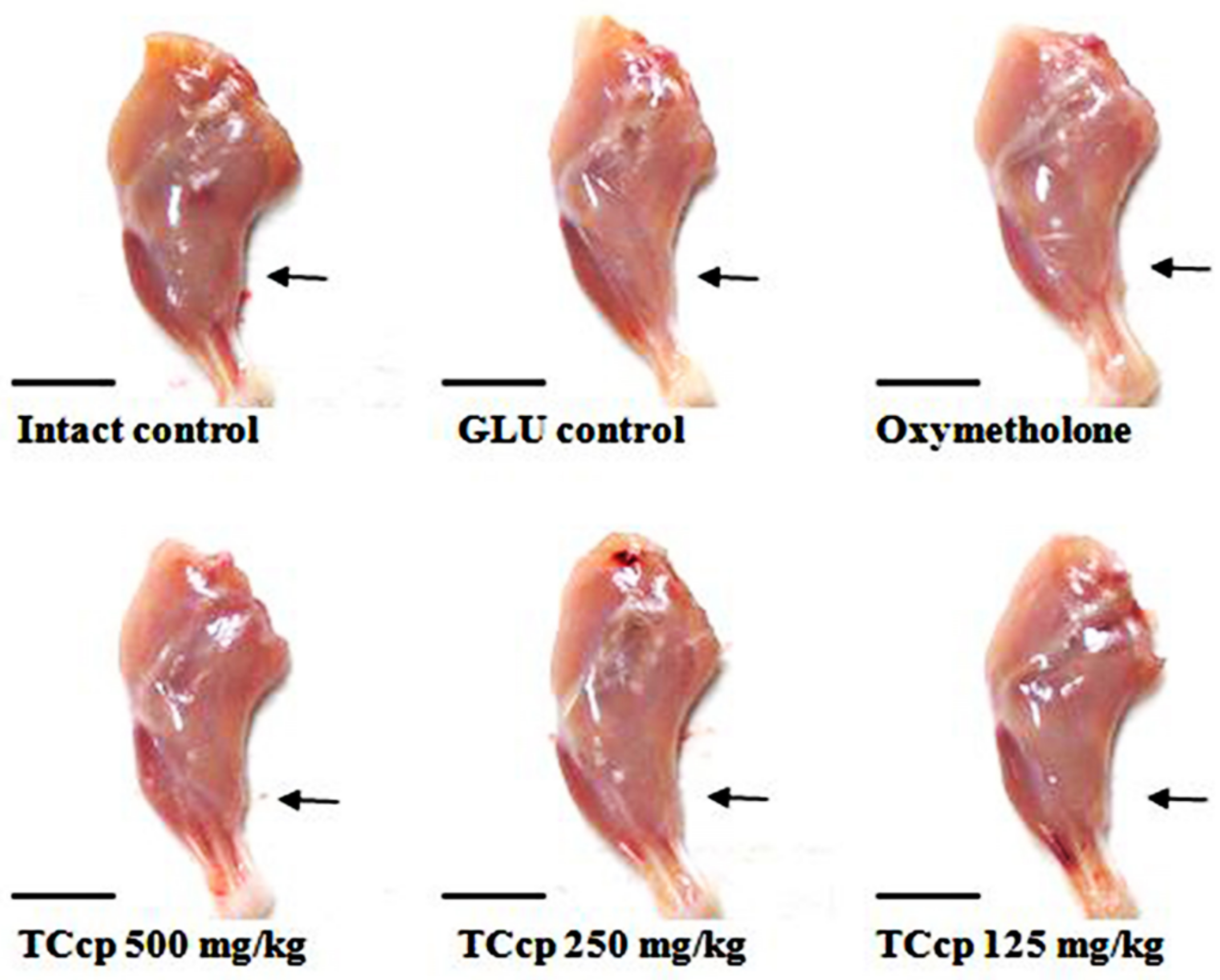 Medicina 57 00485 g003 Medicina 57 00485 g003
