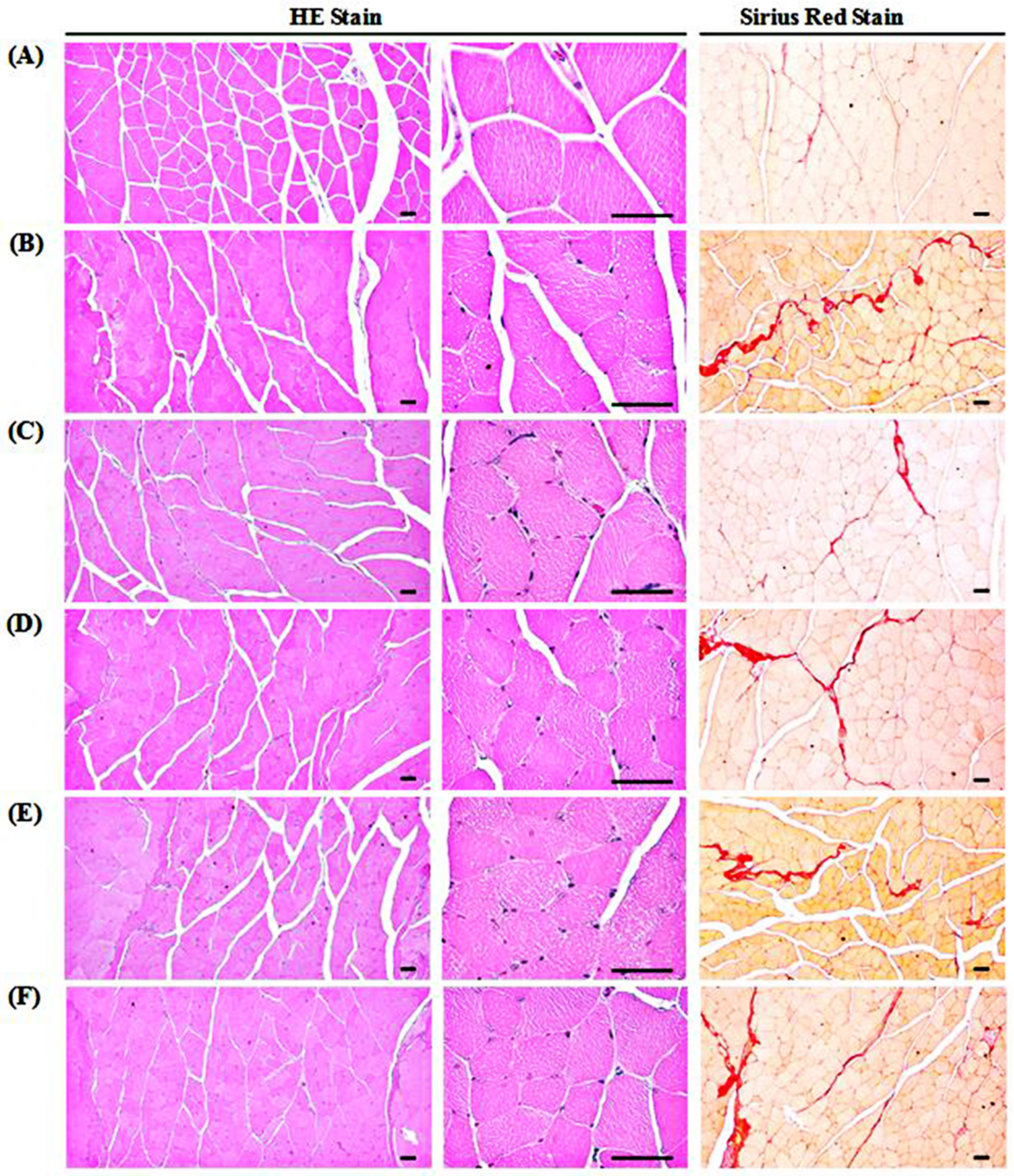 Medicina 57 00485 g007 Medicina 57 00485 g007