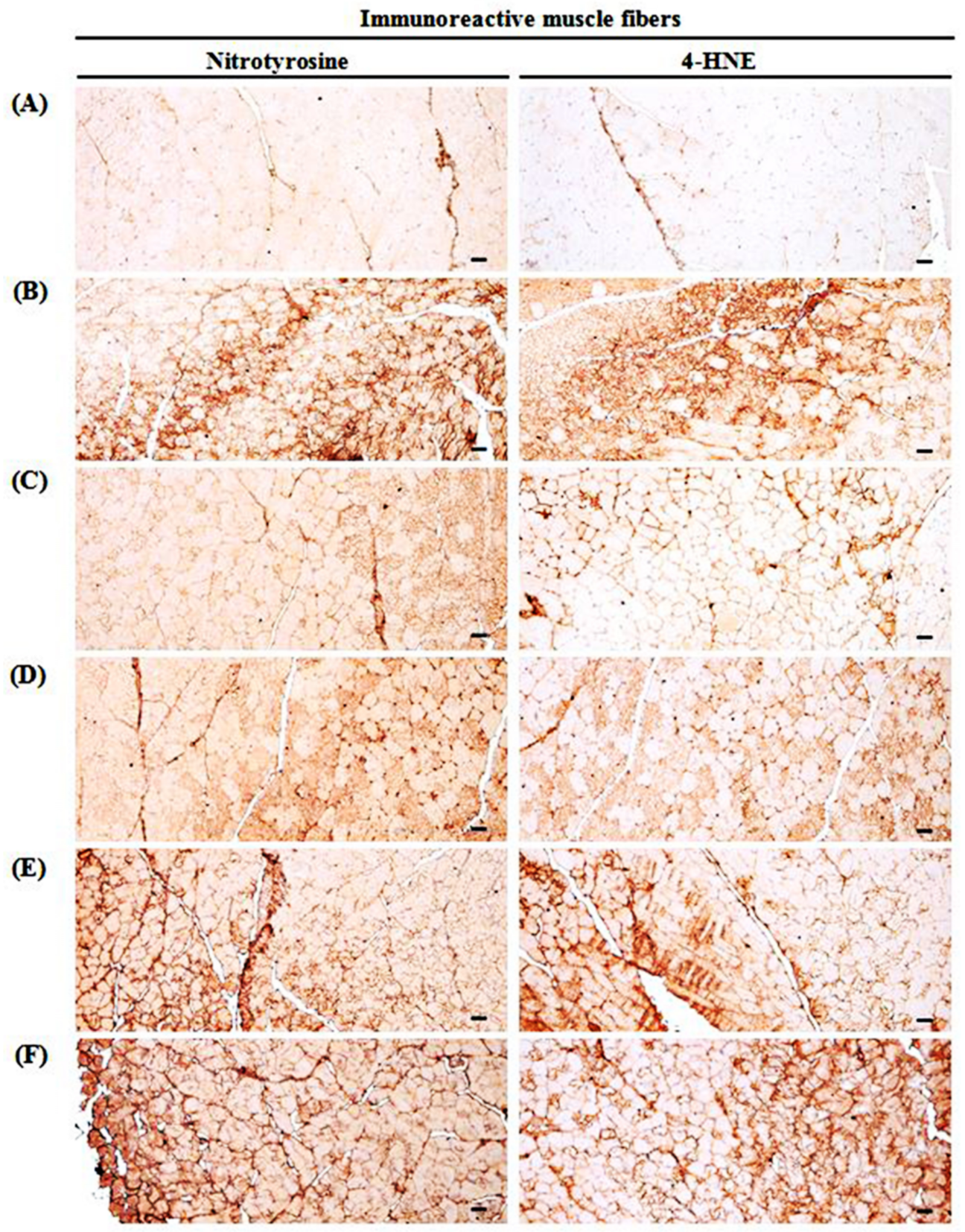 Medicina 57 00485 g009 Medicina 57 00485 g009