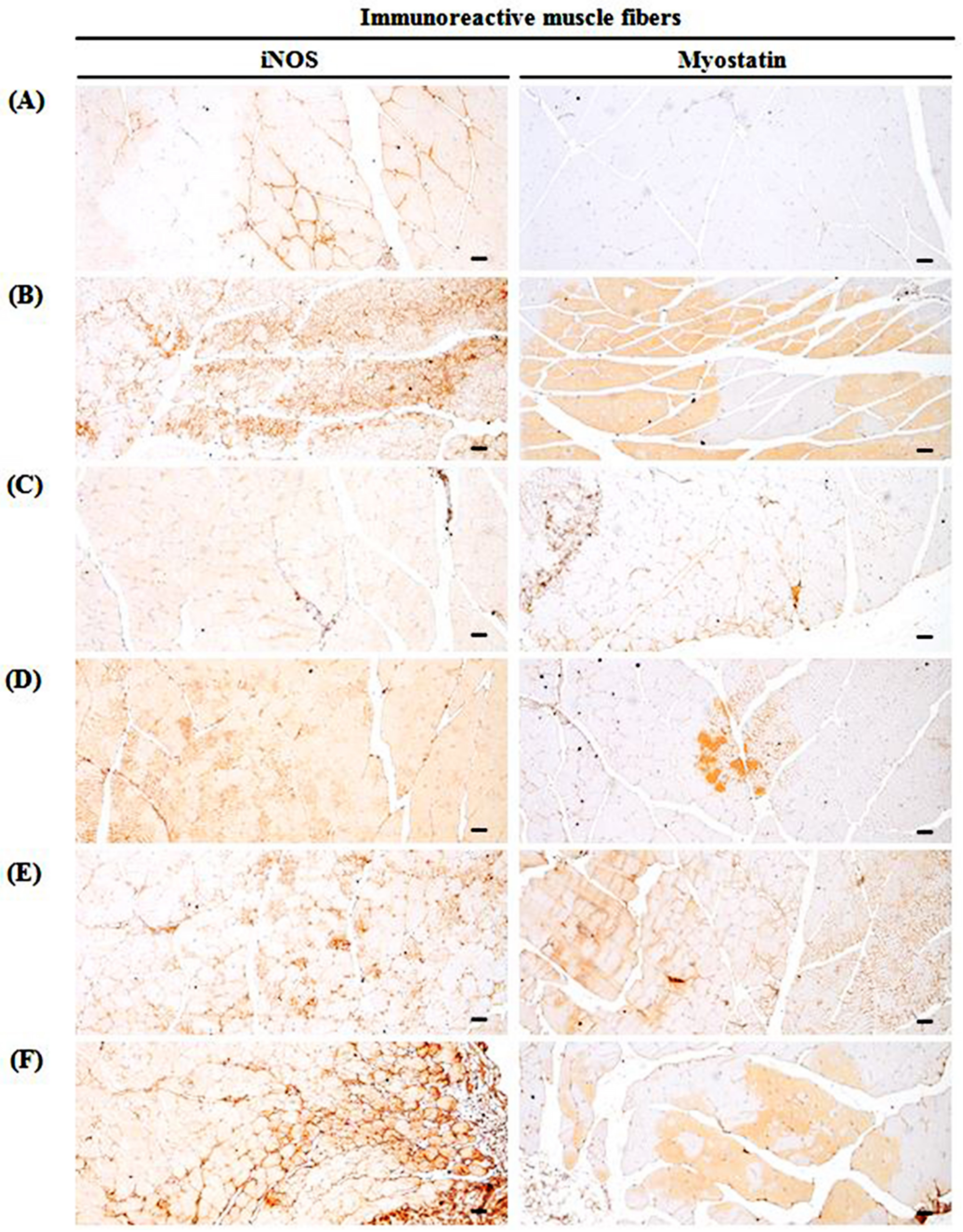 Medicina 57 00485 g010 Medicina 57 00485 g010