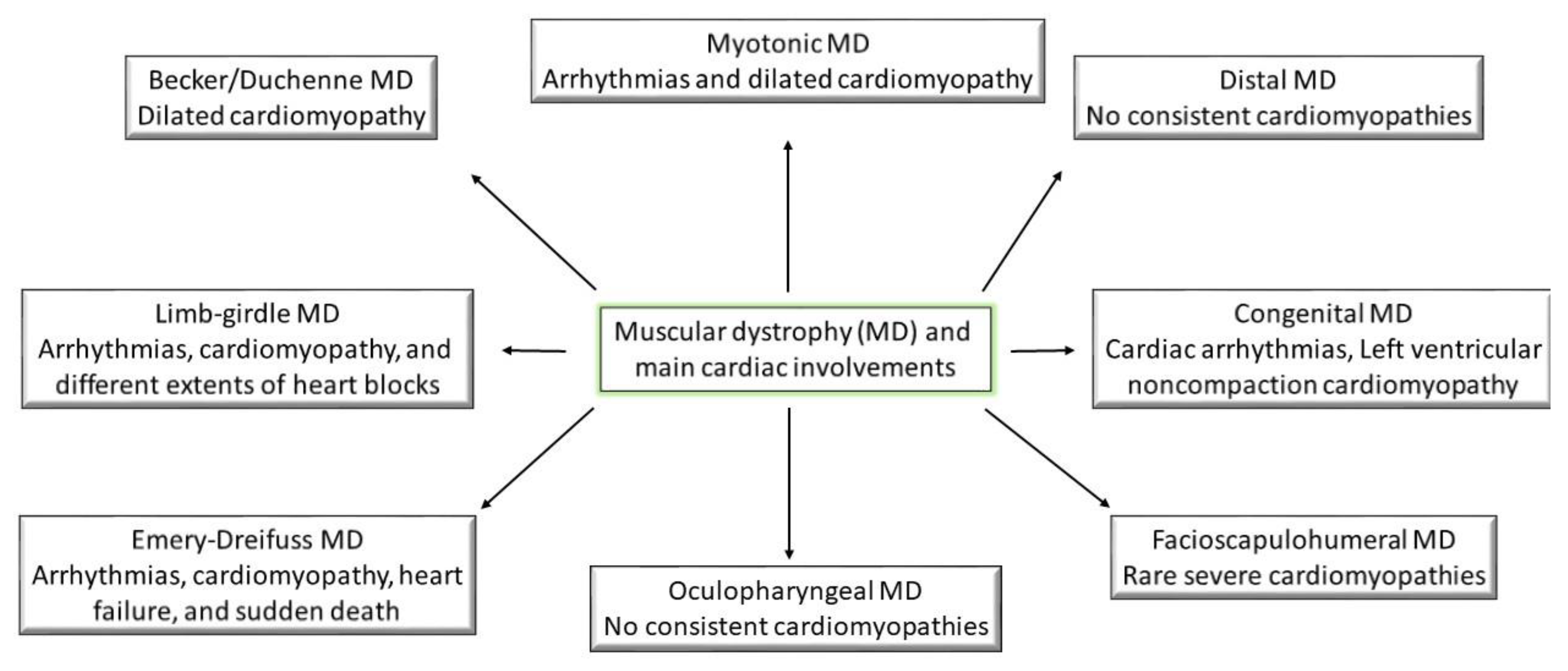 Medicina 57 00488 g002