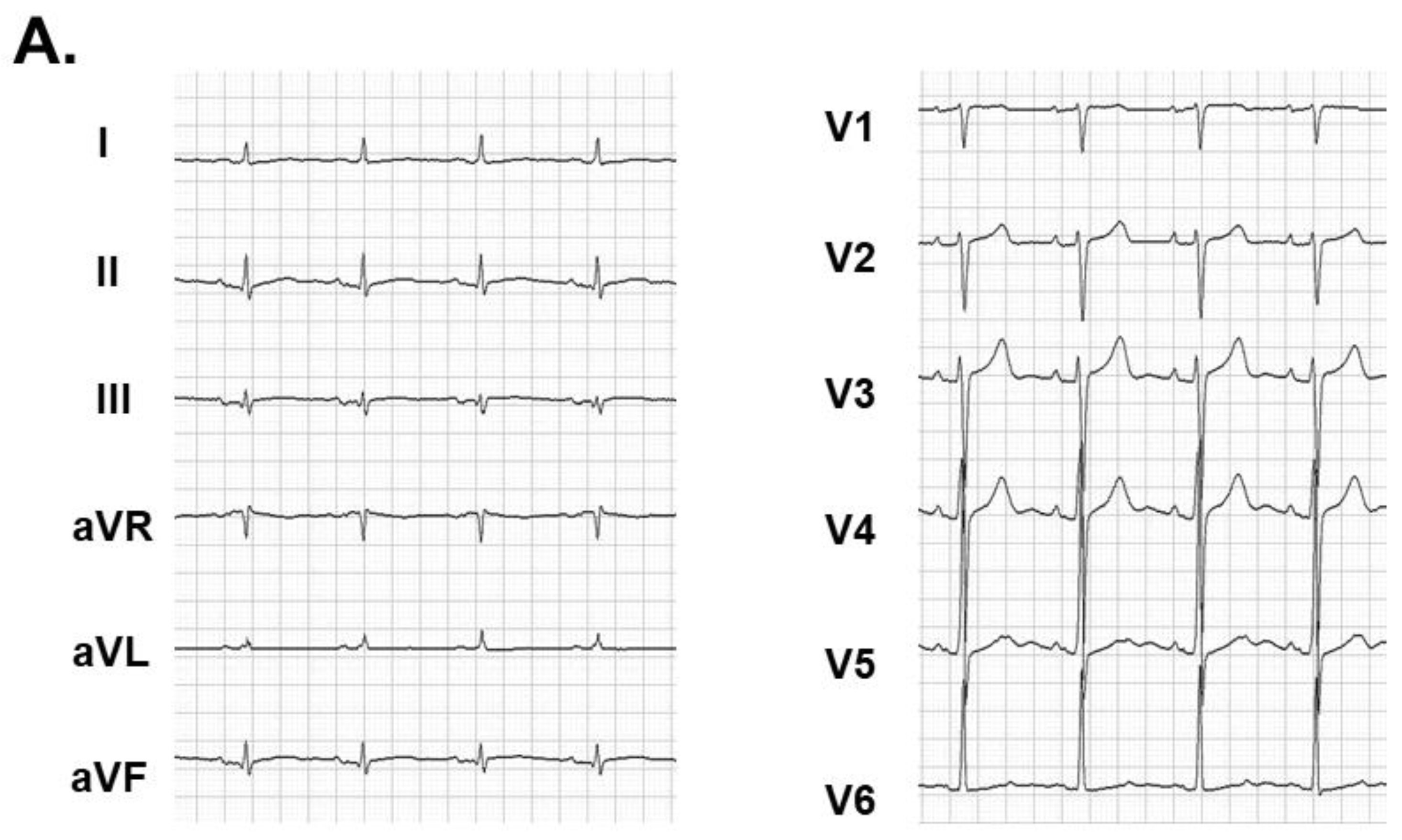 Medicina 57 00511 g003a
