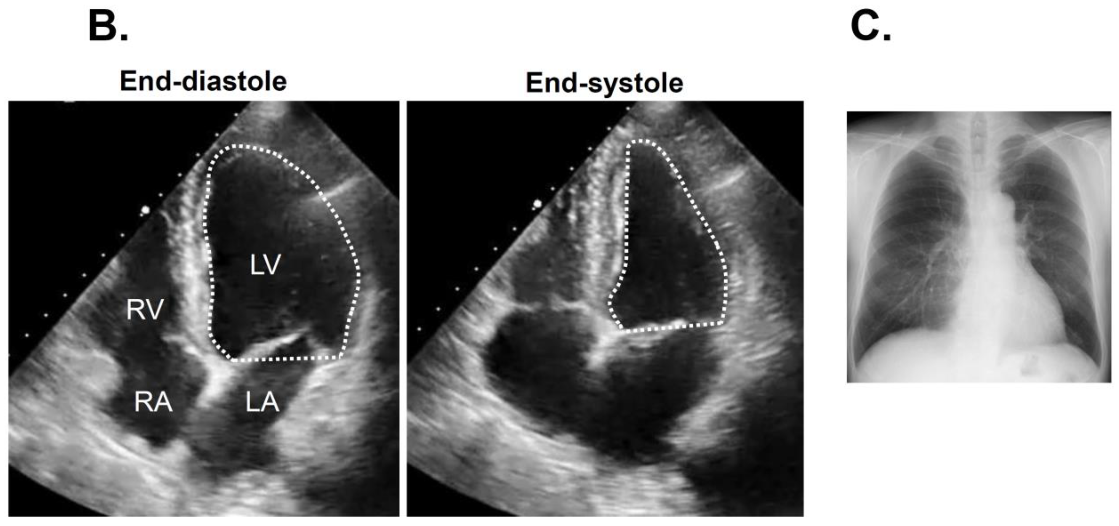 Medicina 57 00511 g003b