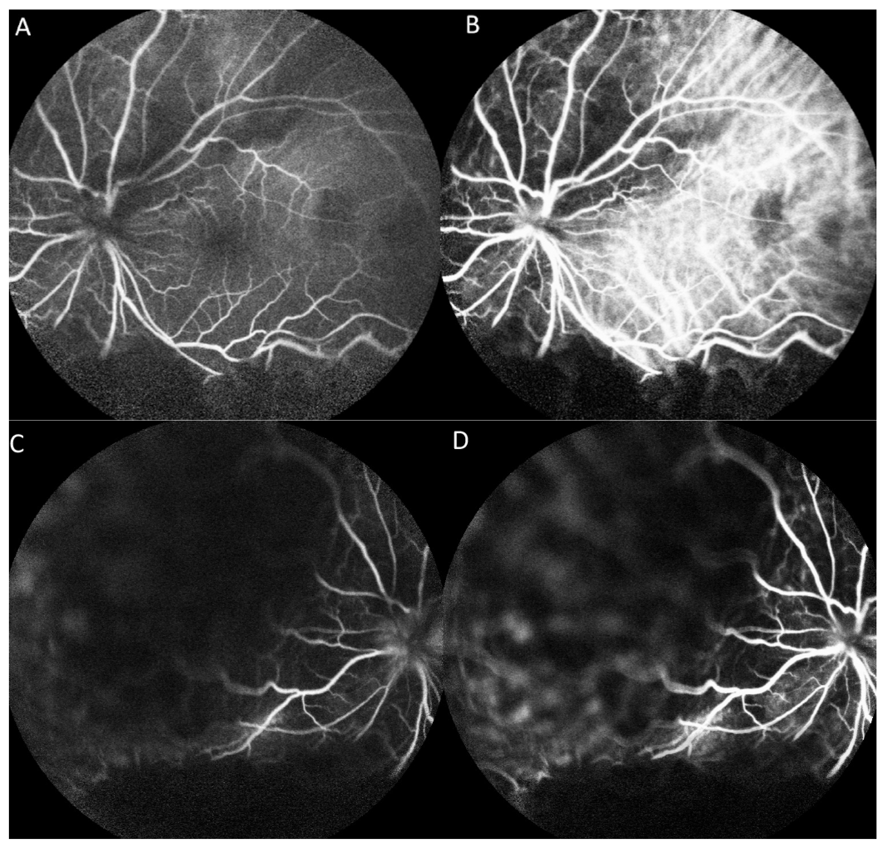 Medicina 57 00539 g003